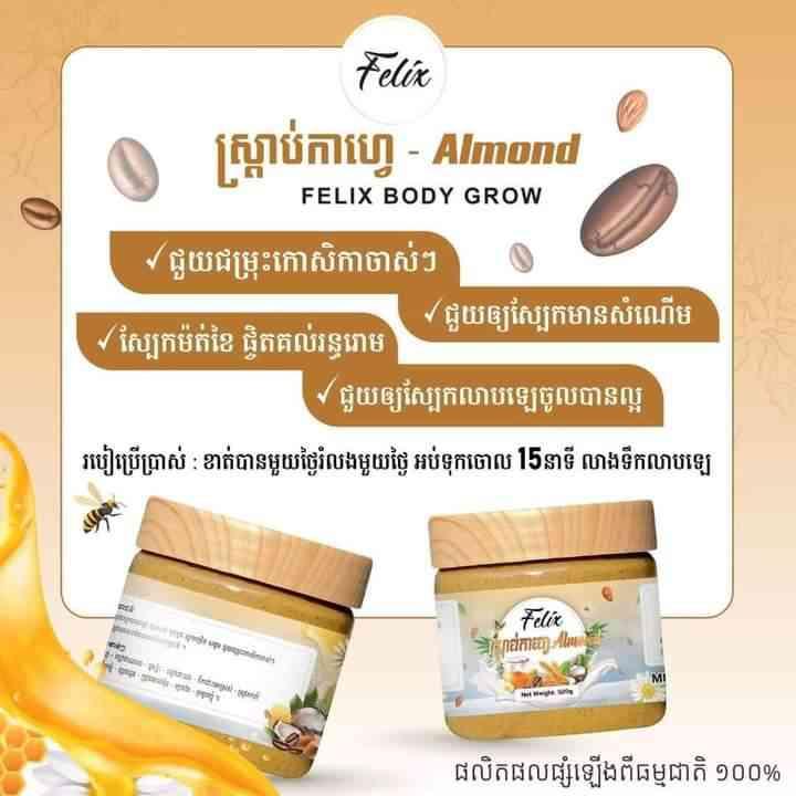 ស្រ្កាប់Felix