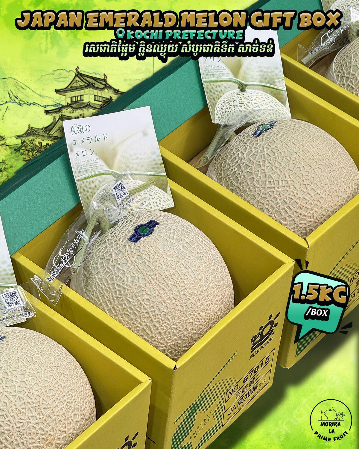 Japan Emerald Melon Gift Box🍈