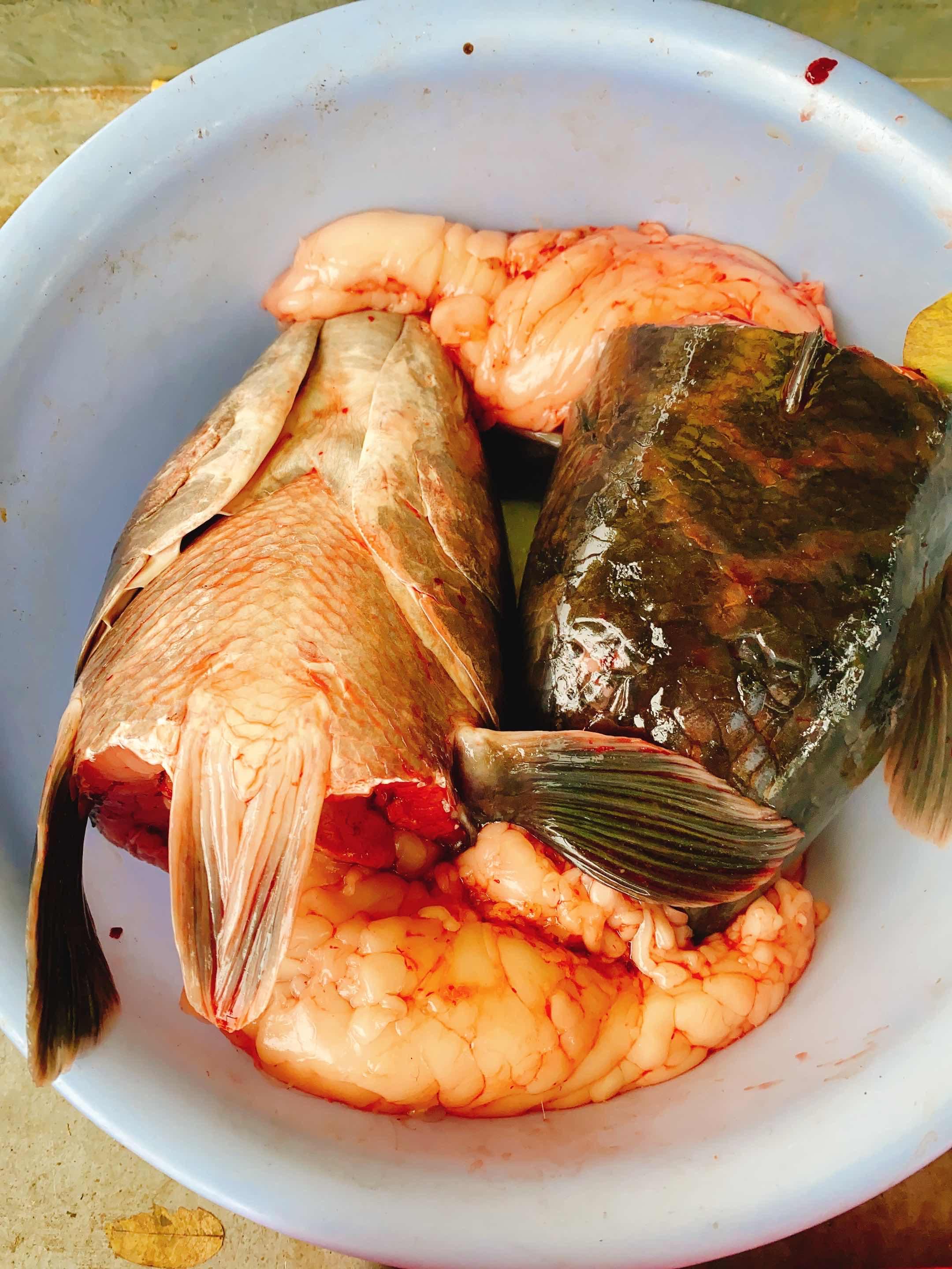 ក្បាលត្រីឆ្តោរ