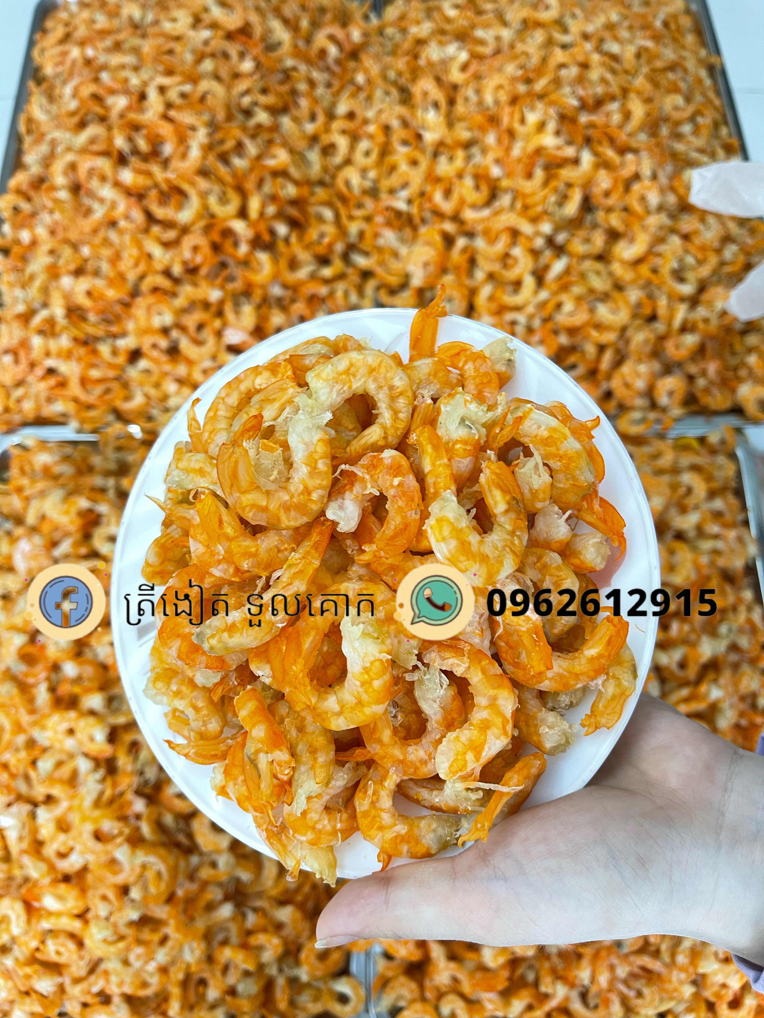 បង្គាពិសេស