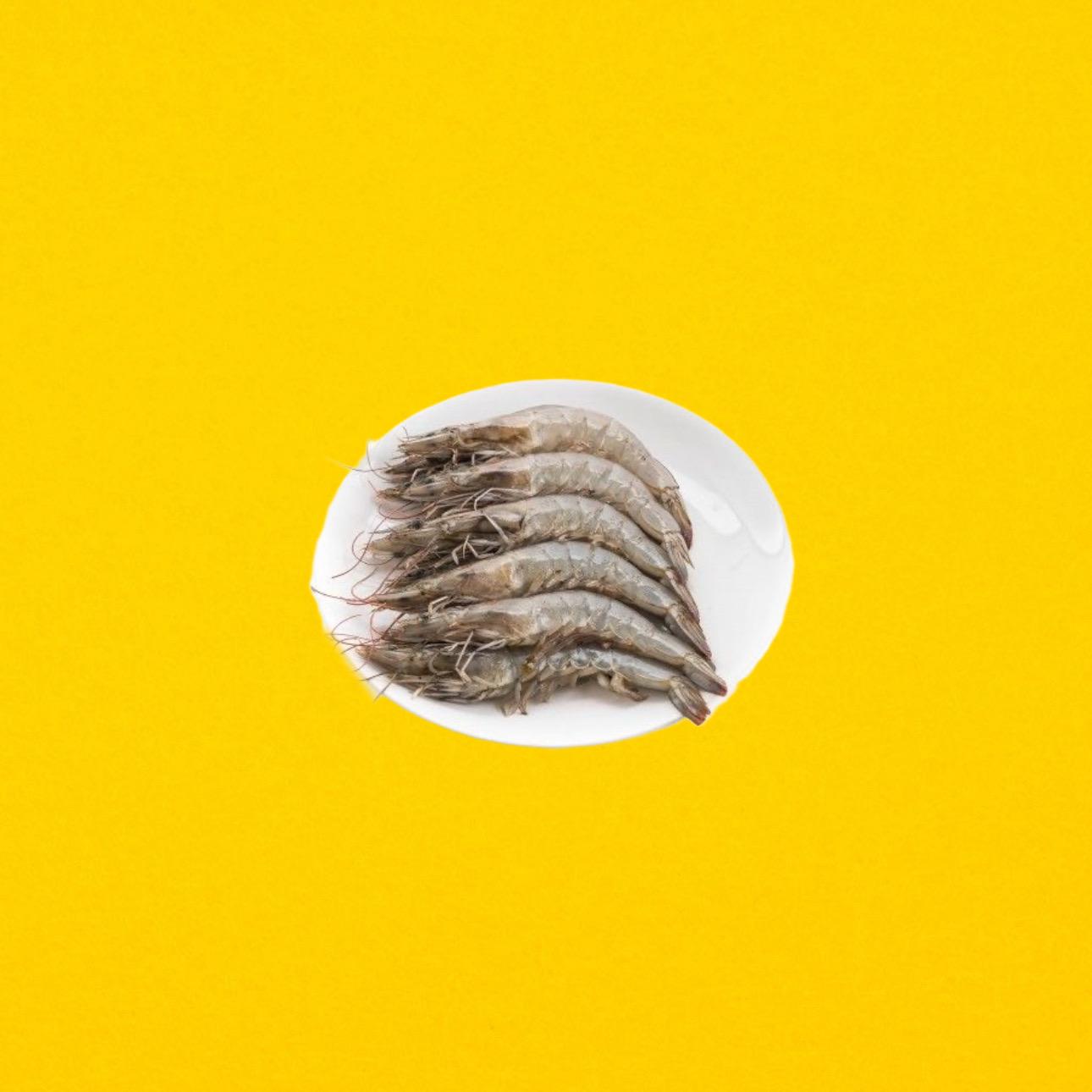 Shrimp
