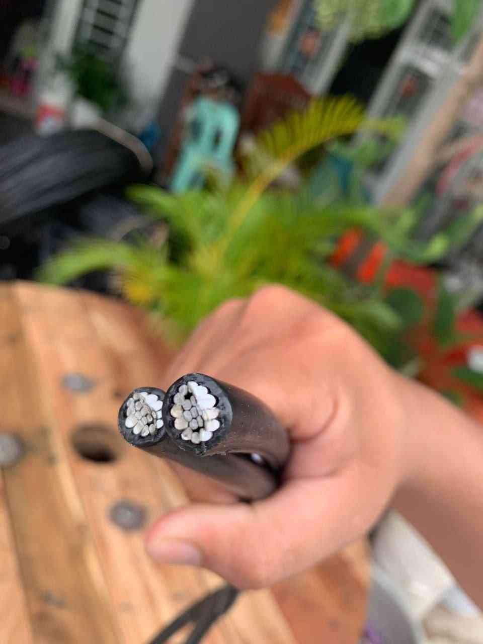 ខ្សែភ្លើងអាលុយមីញ៉ូម ABC 2x50 sq.mm