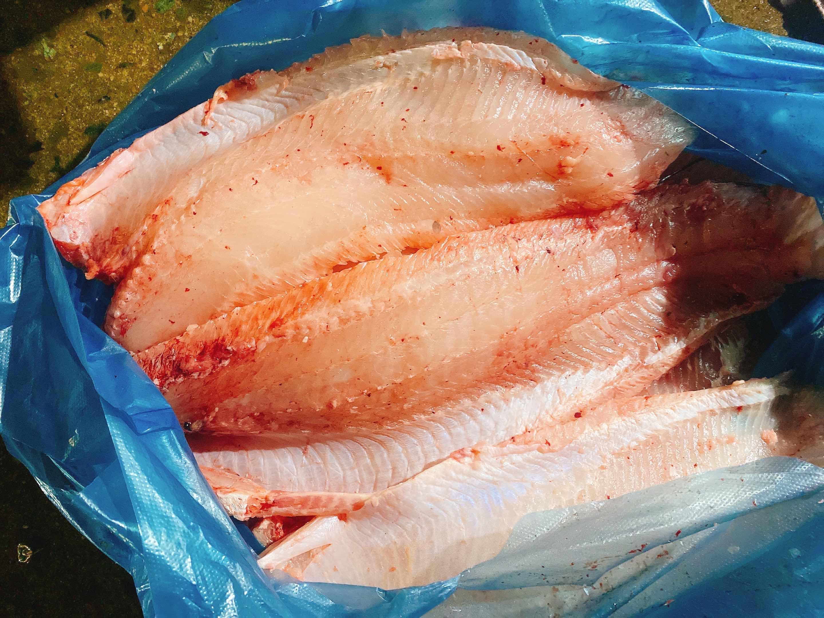 ហ្វីឡេសាច់ត្រីឆ្តោរ