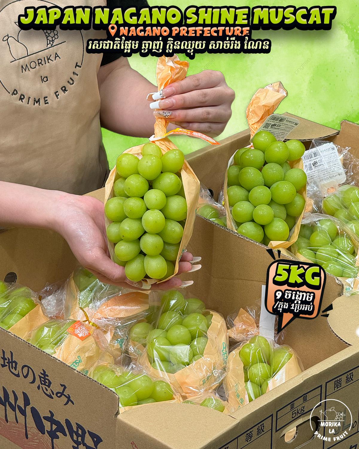 Japan Nagano Shine Muscat Tokusen #9