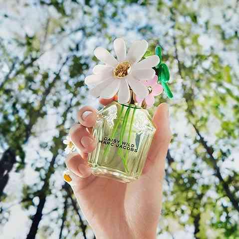 DAISY WILD EAU DE PARFUM- 100ML