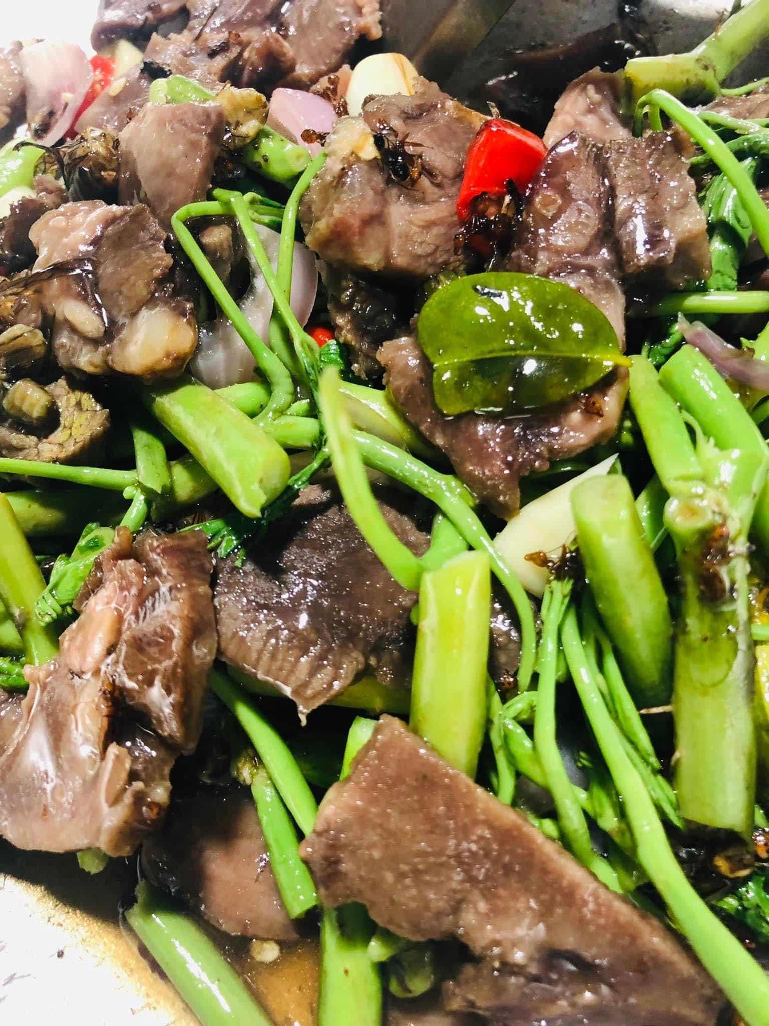 អណ្តាតគោឆា អង្ក្រងកញ្ឆែត