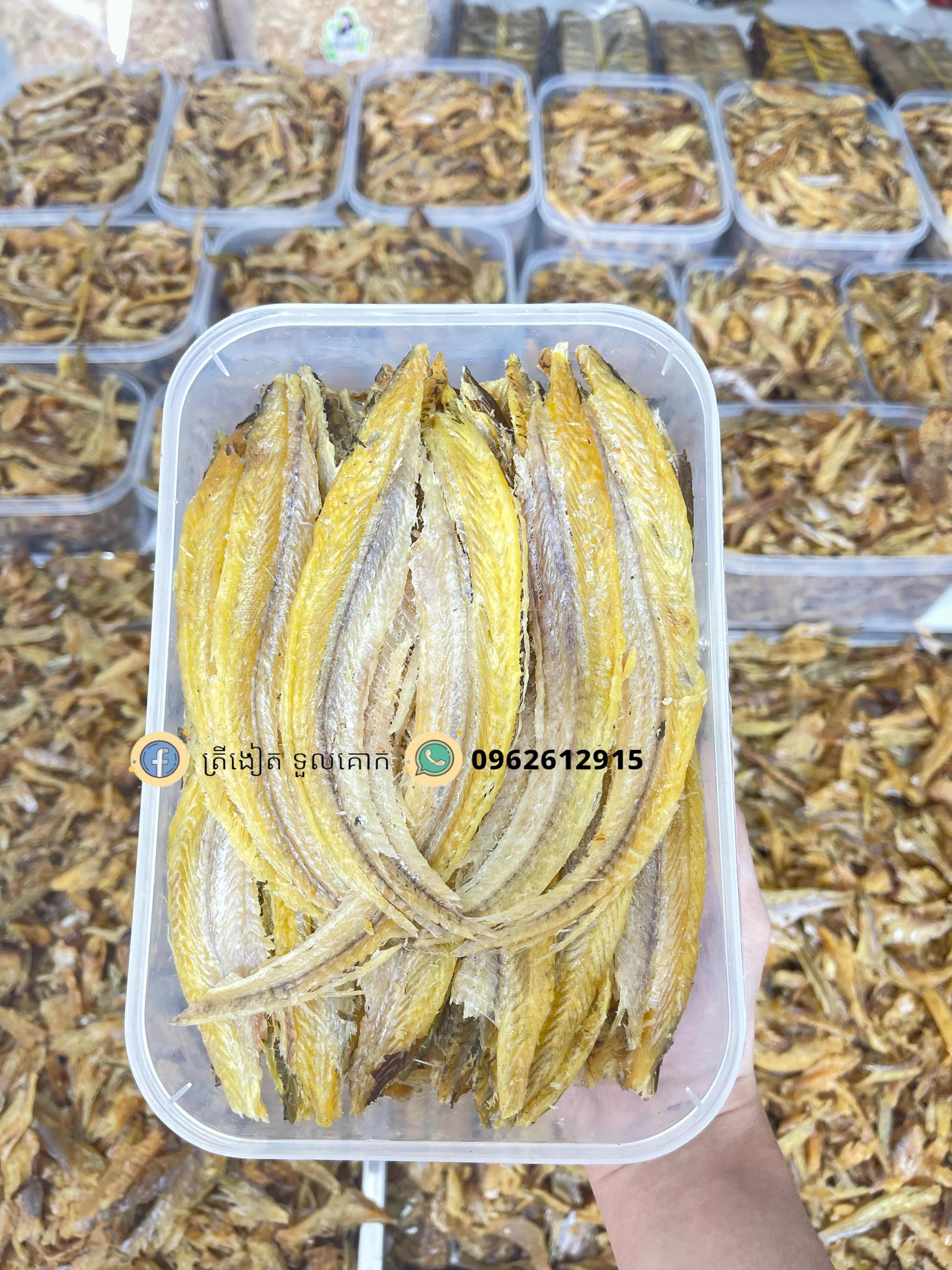ត្រីឆ្អើបកសាច់សុតត្រីកេស