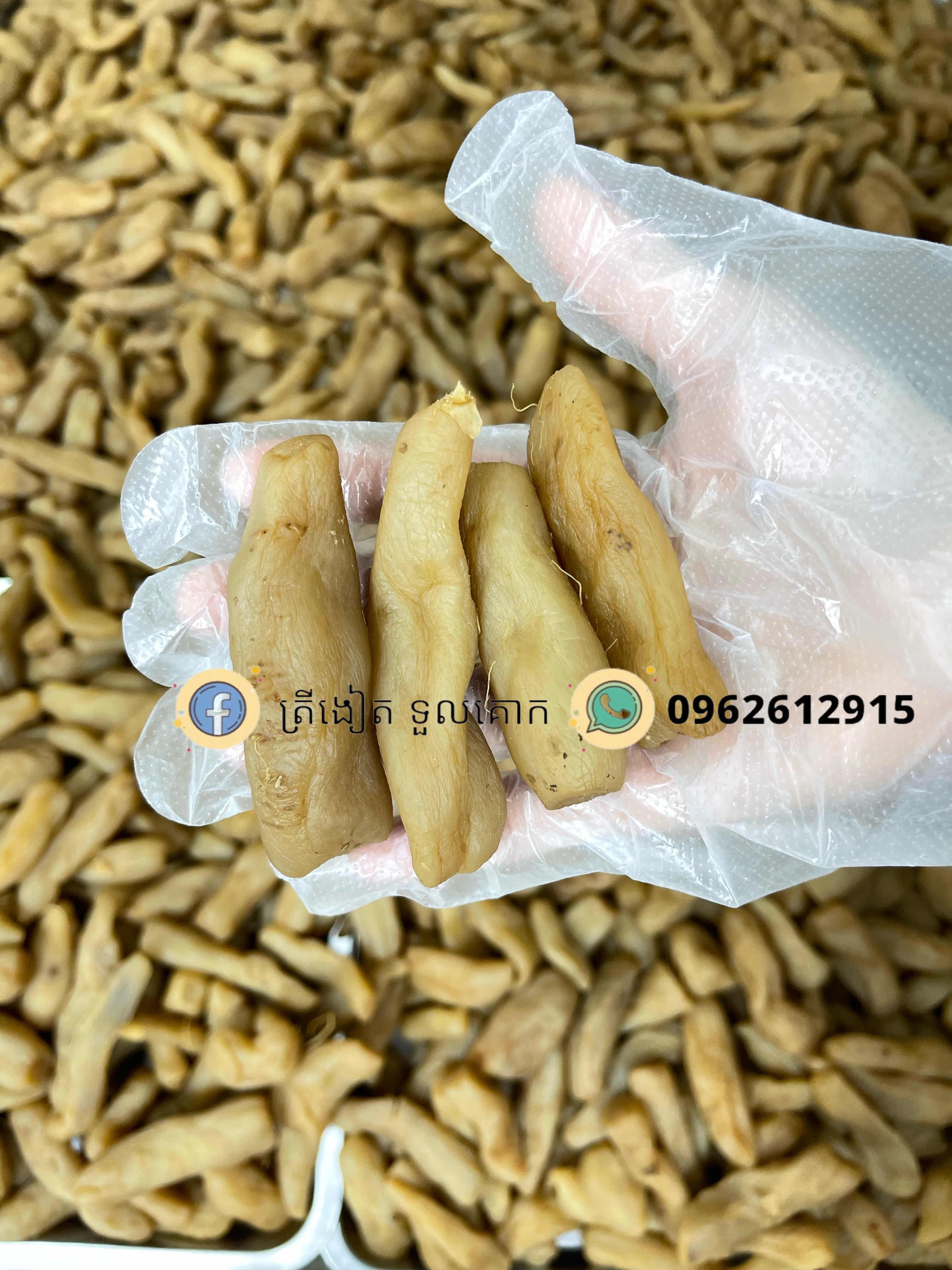 ឆៃពៅទឹកឃ្មុំ