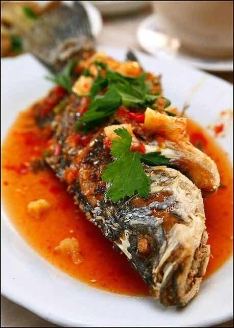 ត្រីស្ពុងចៀនស្រោចទឹកត្រីបុក