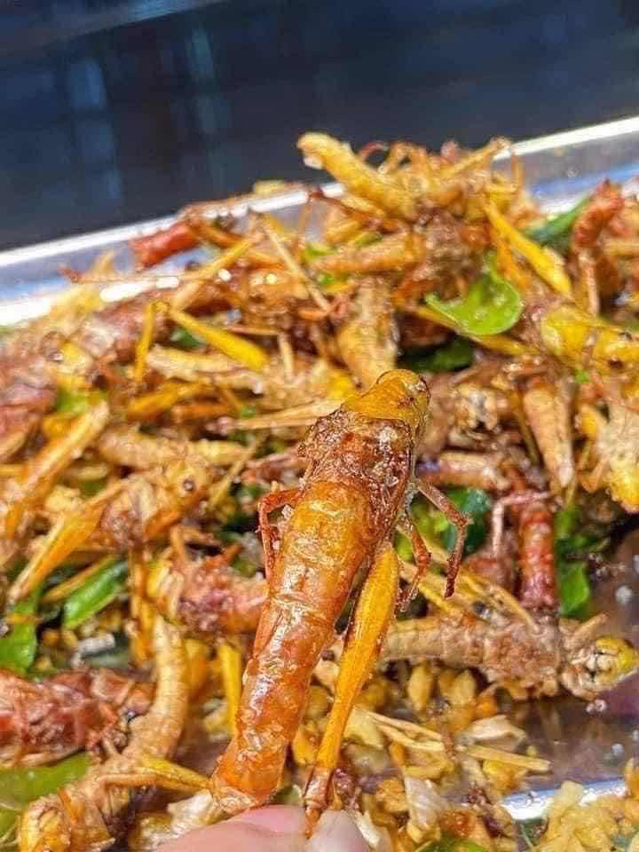 កណ្តូប បំពង