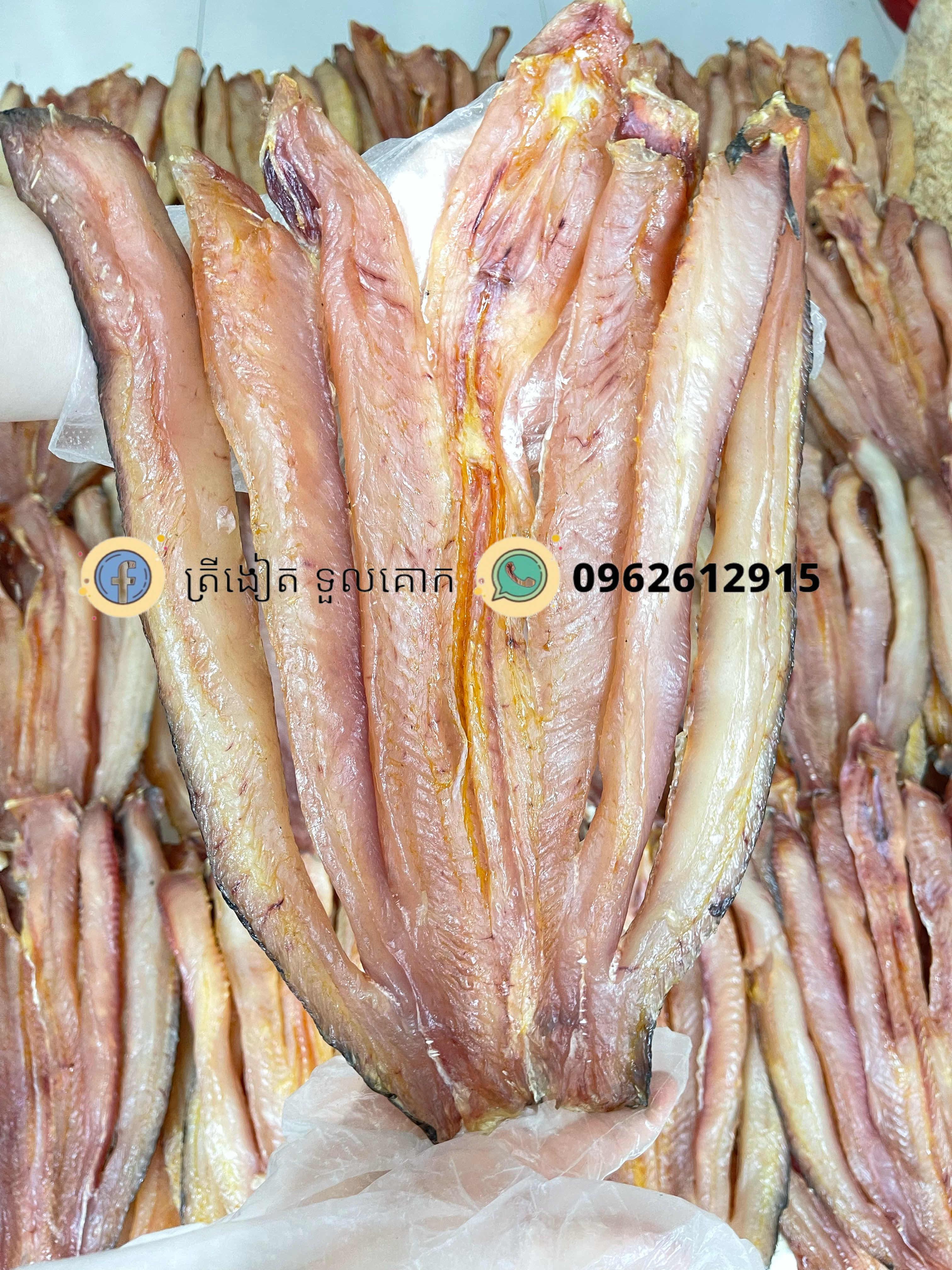 ត្រីងៀត ត្រីឆ្តោ