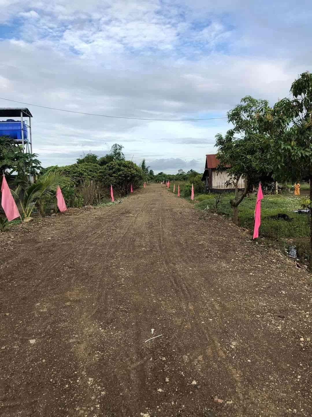 ដីឡូត៍ត្រាង