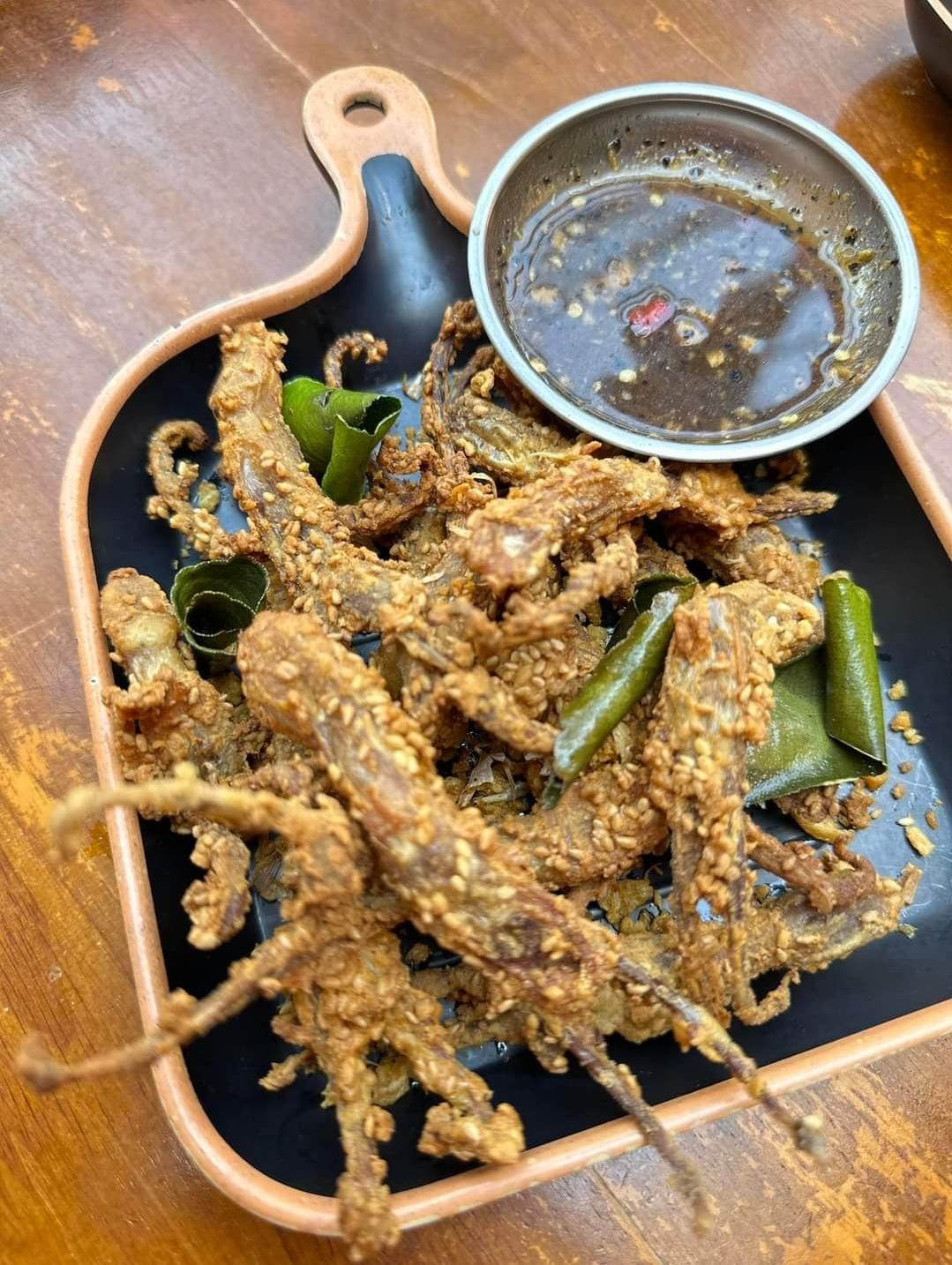 អណ្ដែតទាបំពង
