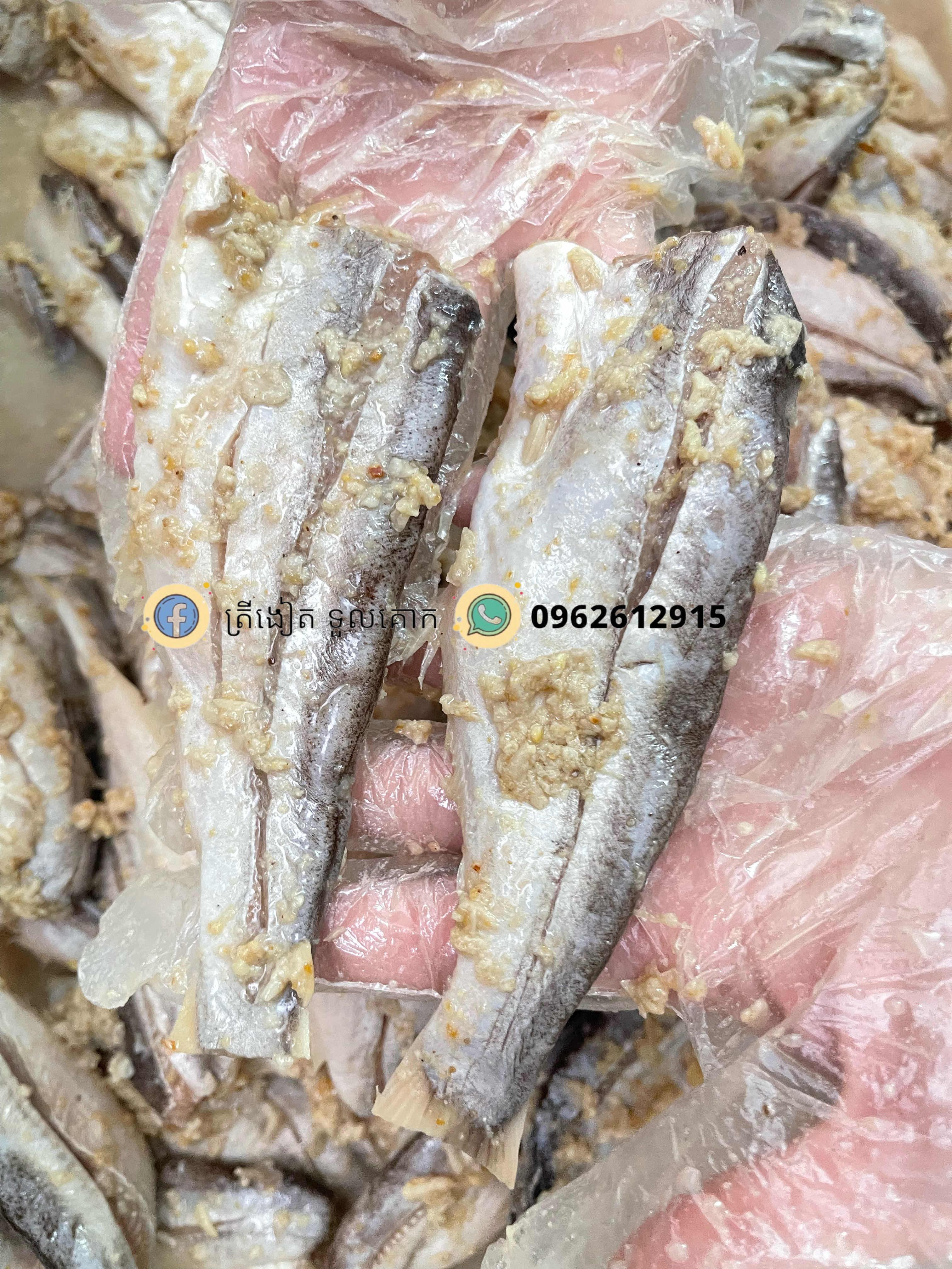 ផ្អកជូរត្រីឆ្វៀត