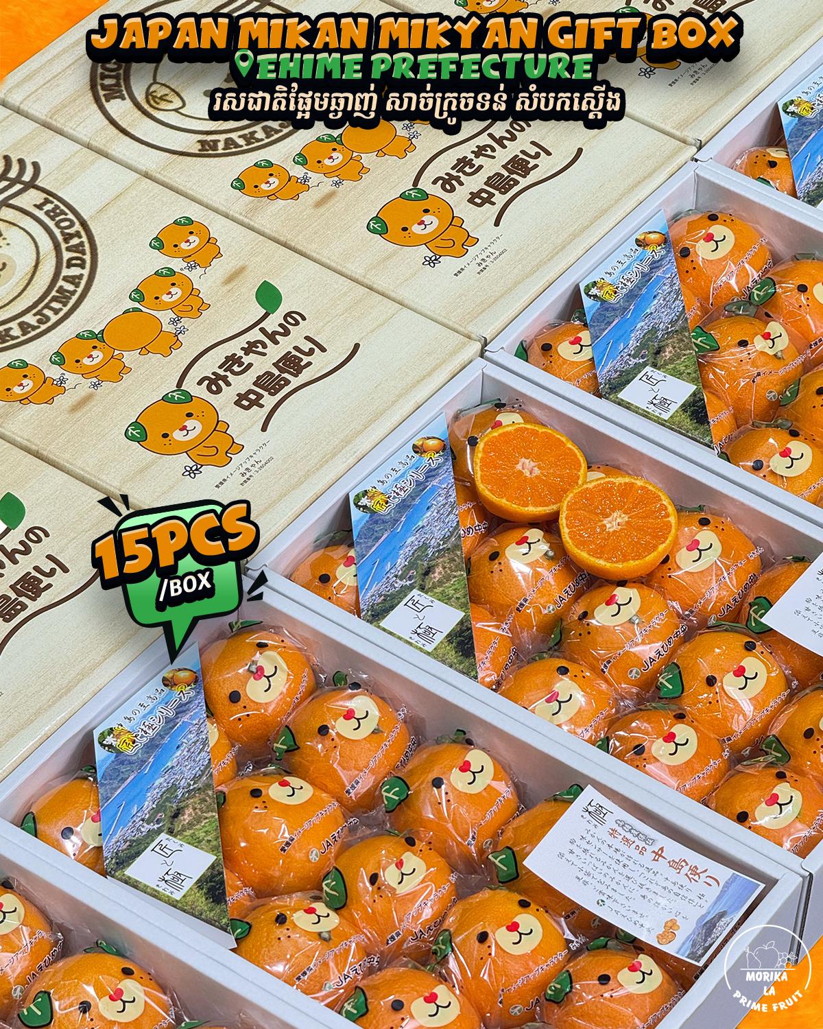 Japan Mikan Mikyan Gift Box 🍊