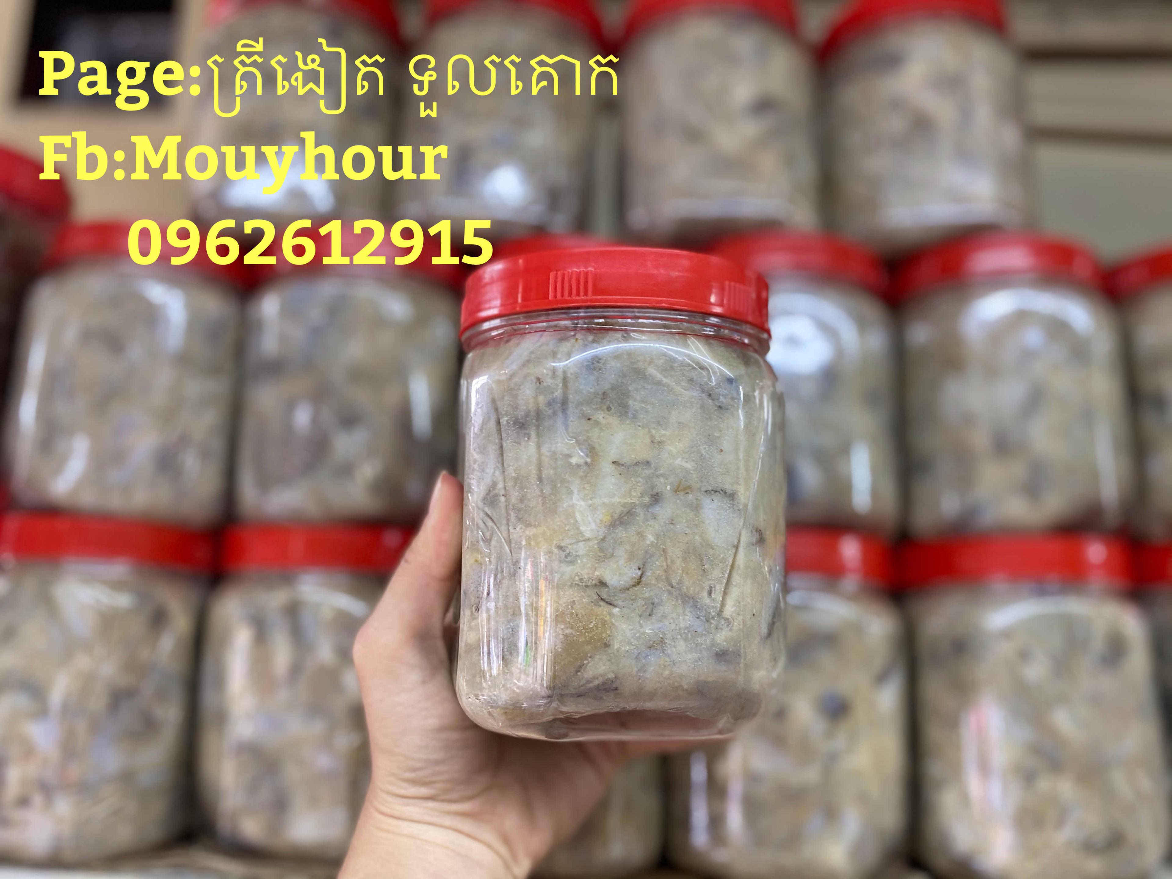 ប្រហុកត្រីកំភ្លាញ