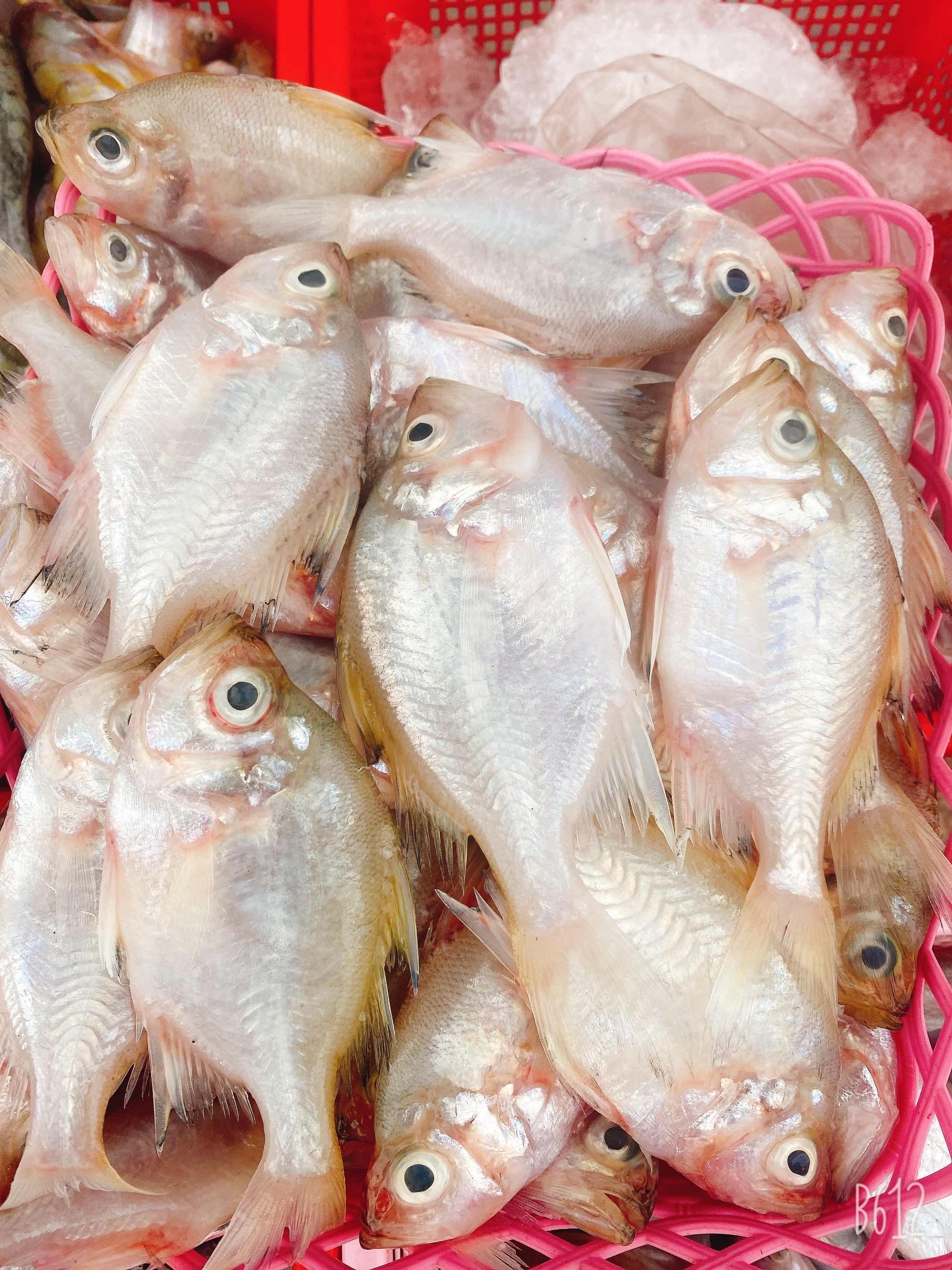 ត្រីកន្រ្តងប្រេងតូច