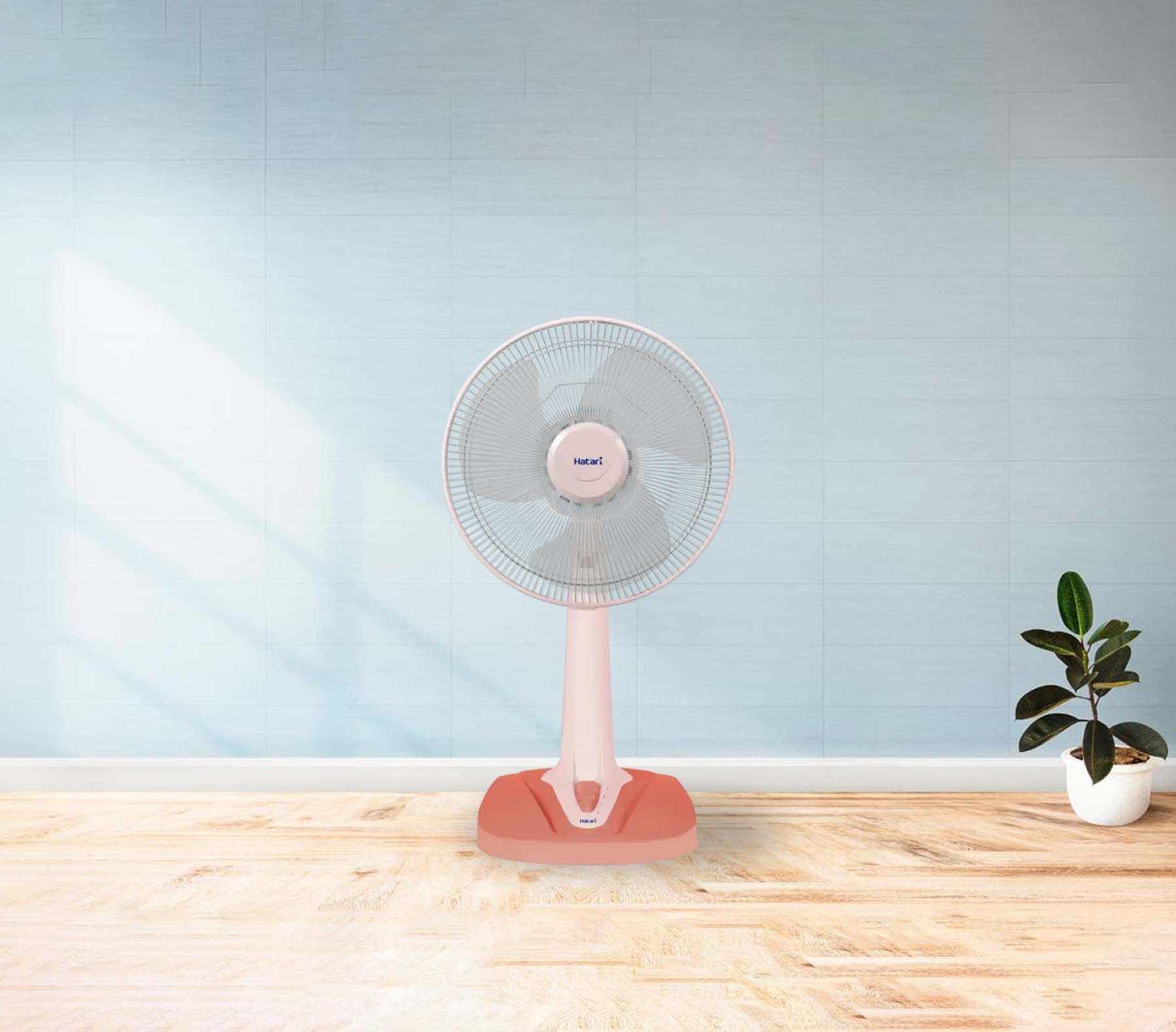 កង្ហារ​ ហាតារី​ Hatari  12"