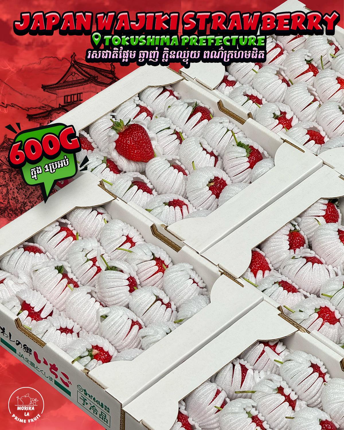 Japan Wajiki Strawberry 🍓 