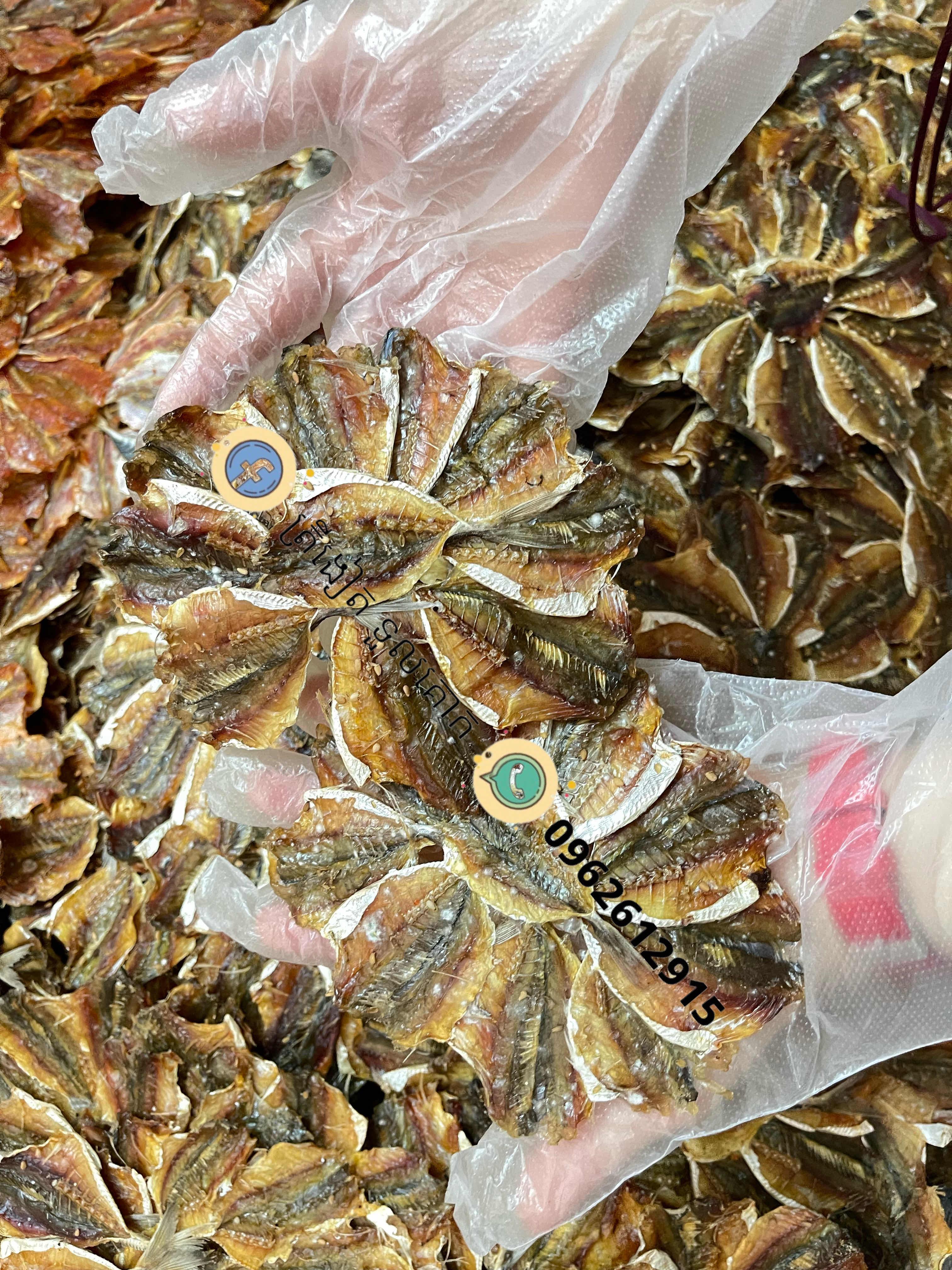 ងៀតត្រីល្ង