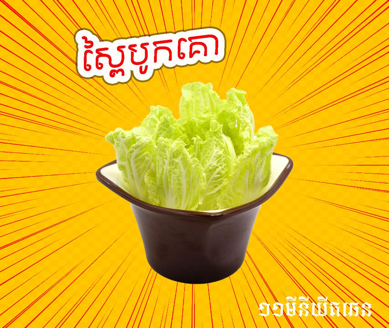 Baby Chinese Cabbage