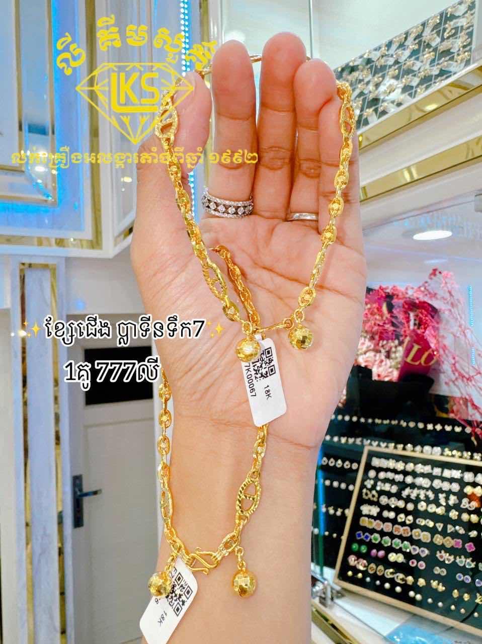 ខ្សែជើង ប្លាទីនទឹក7