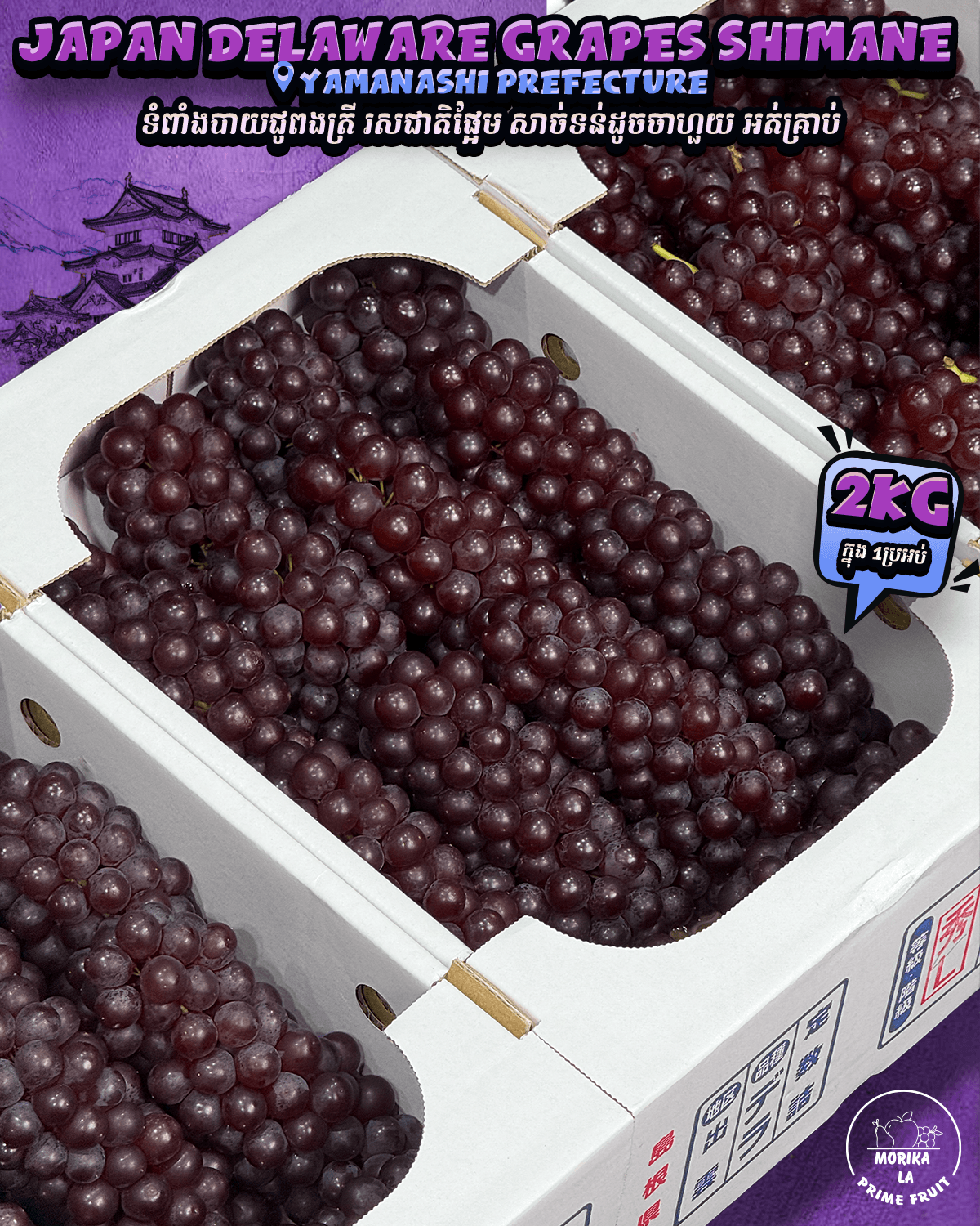 Japan Delaware Grapes Shimane 2kg Gift Box 