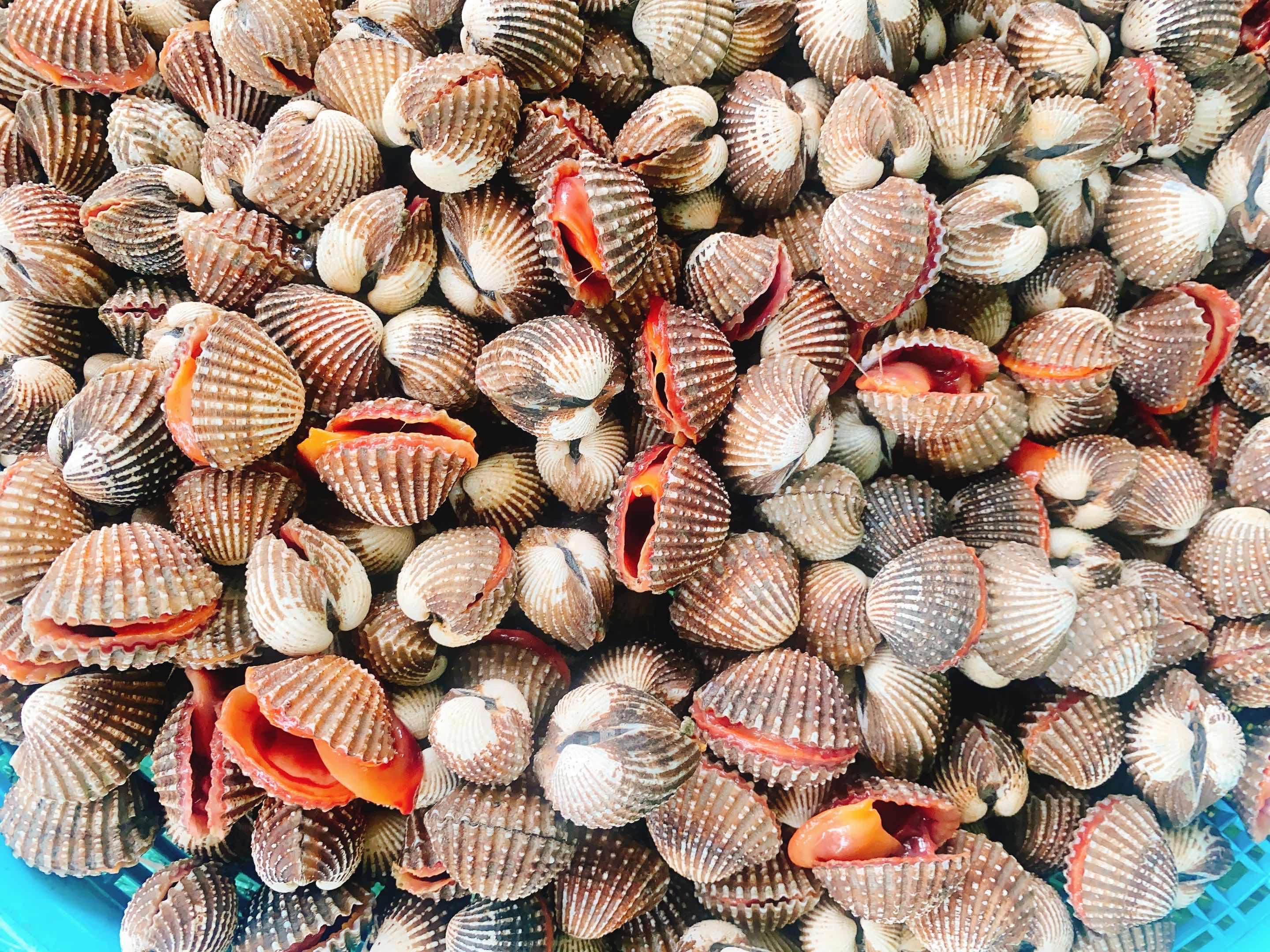 ងាវតូច