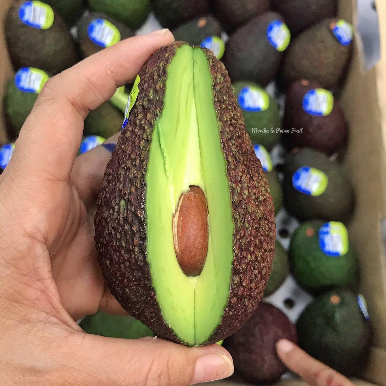 Avocado 🥑 