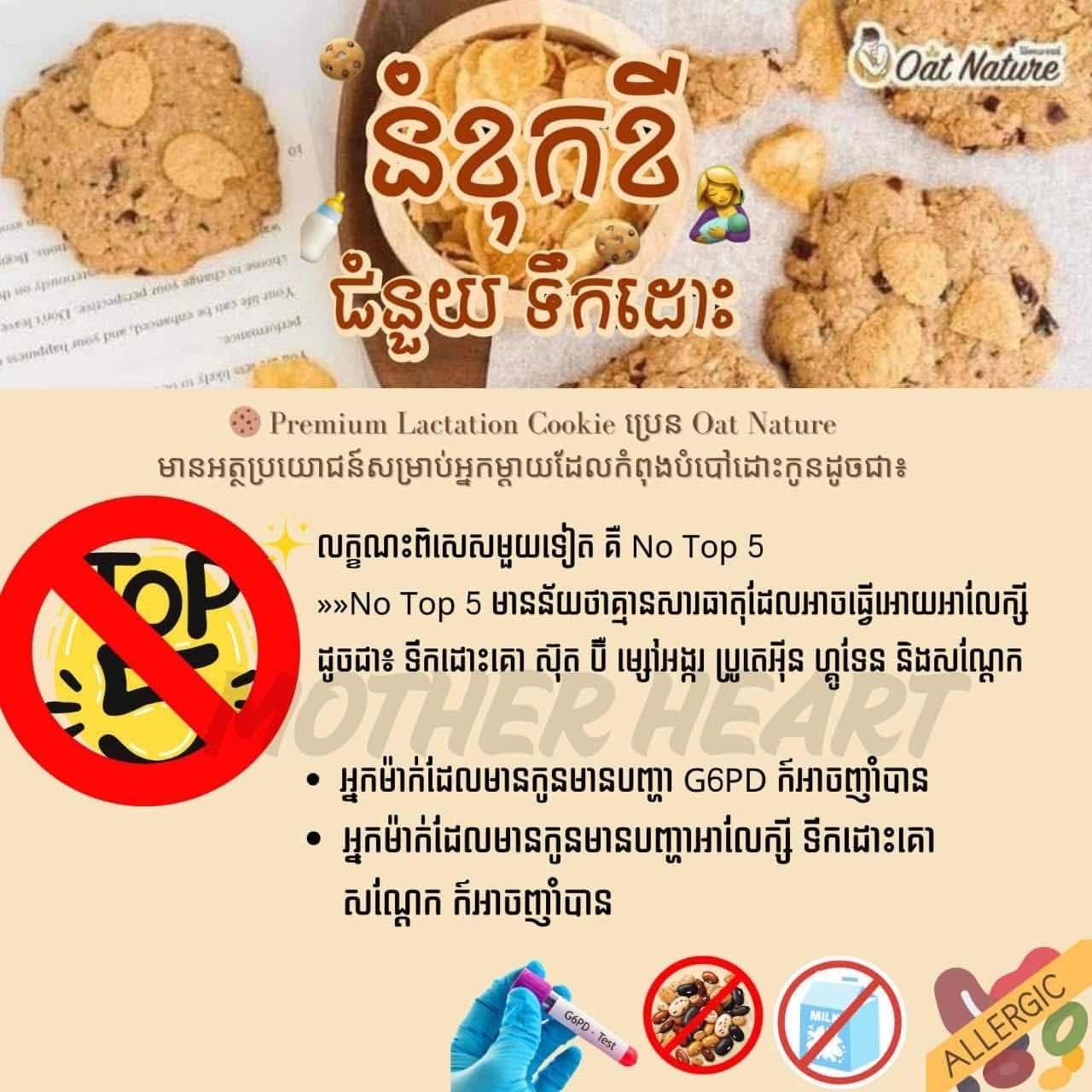 Lactation Cookie ញាំជំនួយការផលិតទឹកដោះ