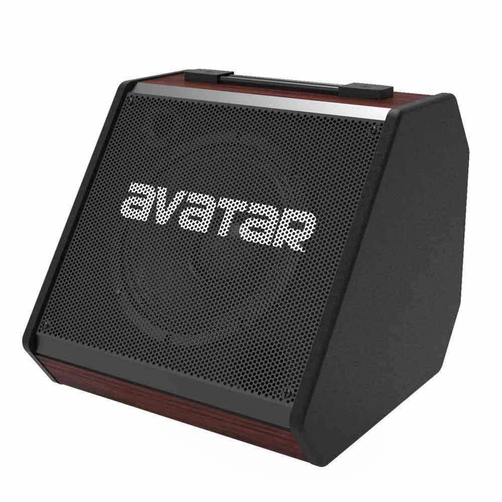 ប៉ារ៉ាស់ស្គរ Avatar DM30 Drum Amp 25Watts 