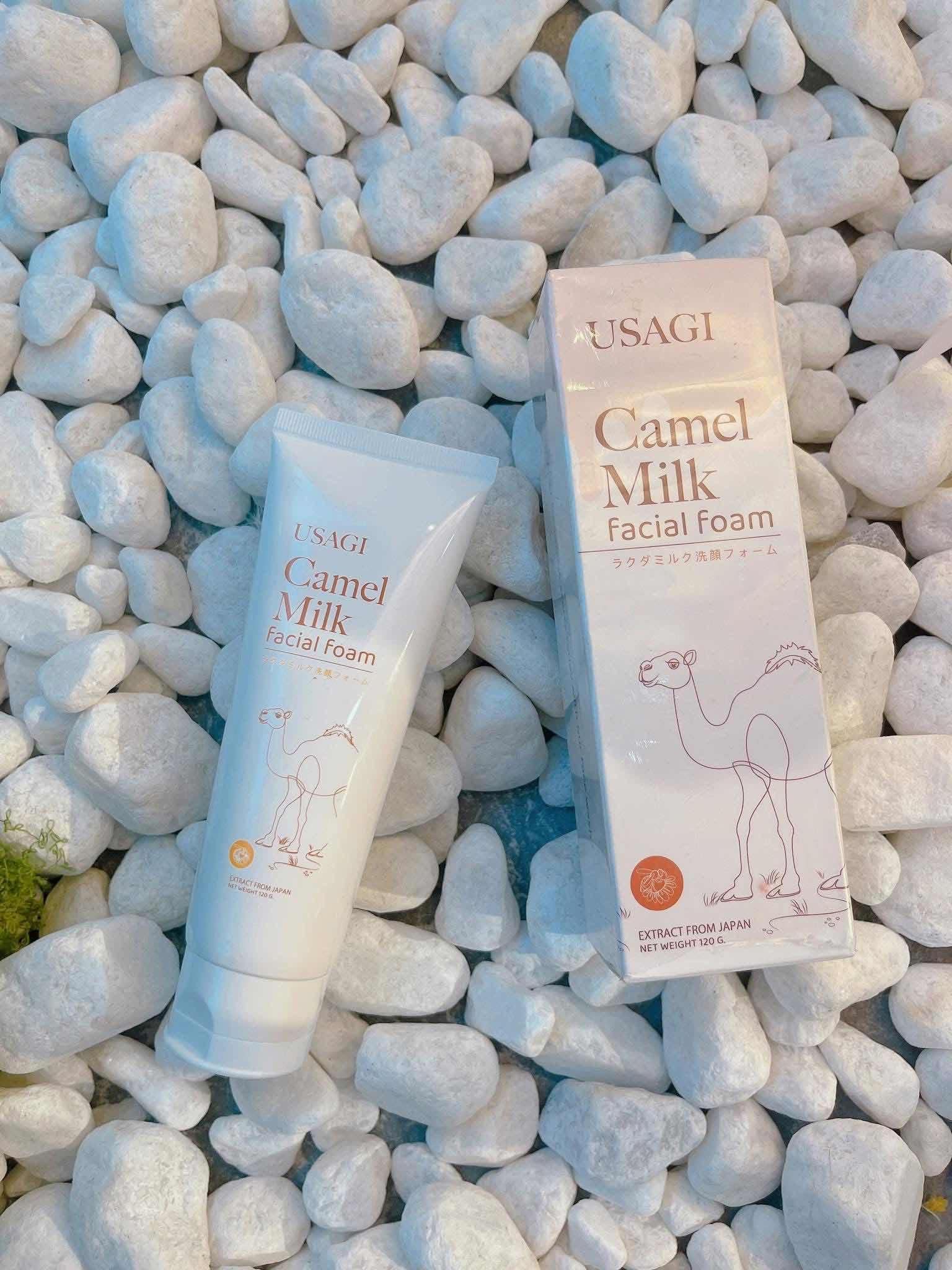 Camel milk foam