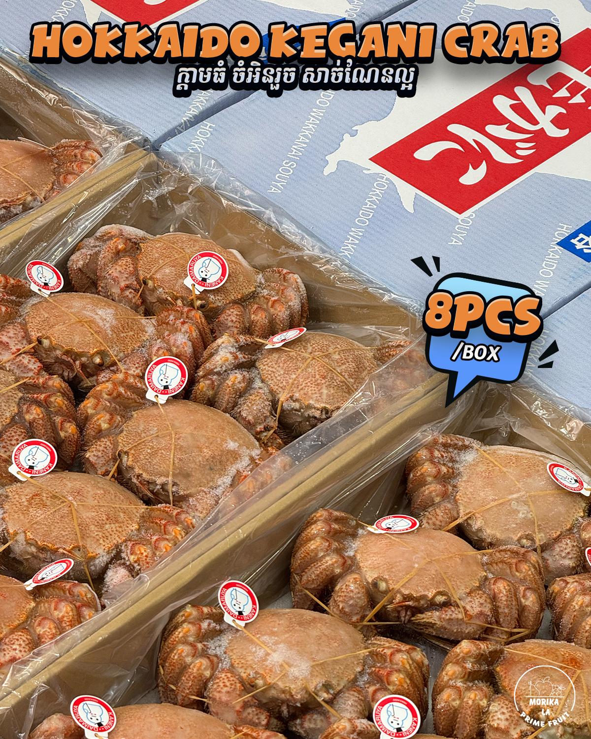 Hokkaido Kegani Crab 🦀 