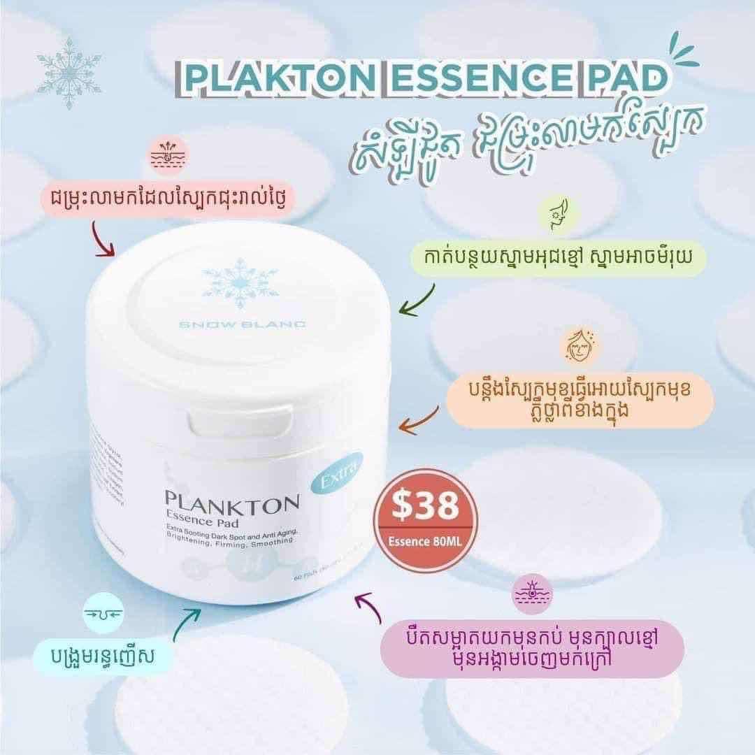 សំឡី​Snow Blanc