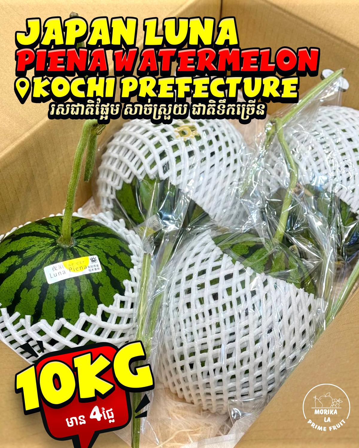 Japan Watermelon Luna Piena 🍉