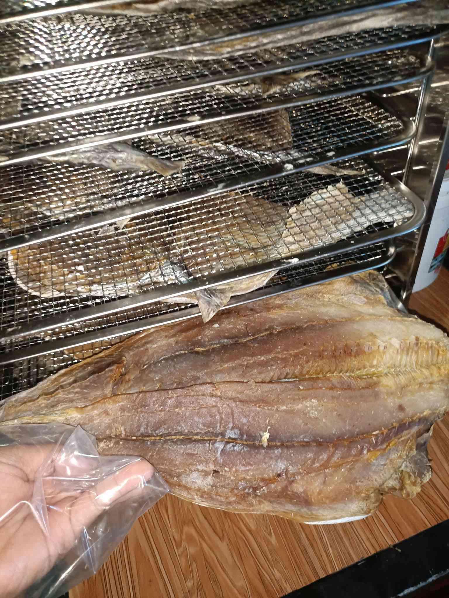 ត្រីសមុទ្រងៀត