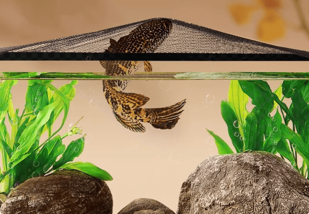 គំរបទូត្រី​ Fish Tank Magnetic Anti-jump Net 60*45cm, 80*40cm, 100*40cm, 100*50cm, 120*50cm