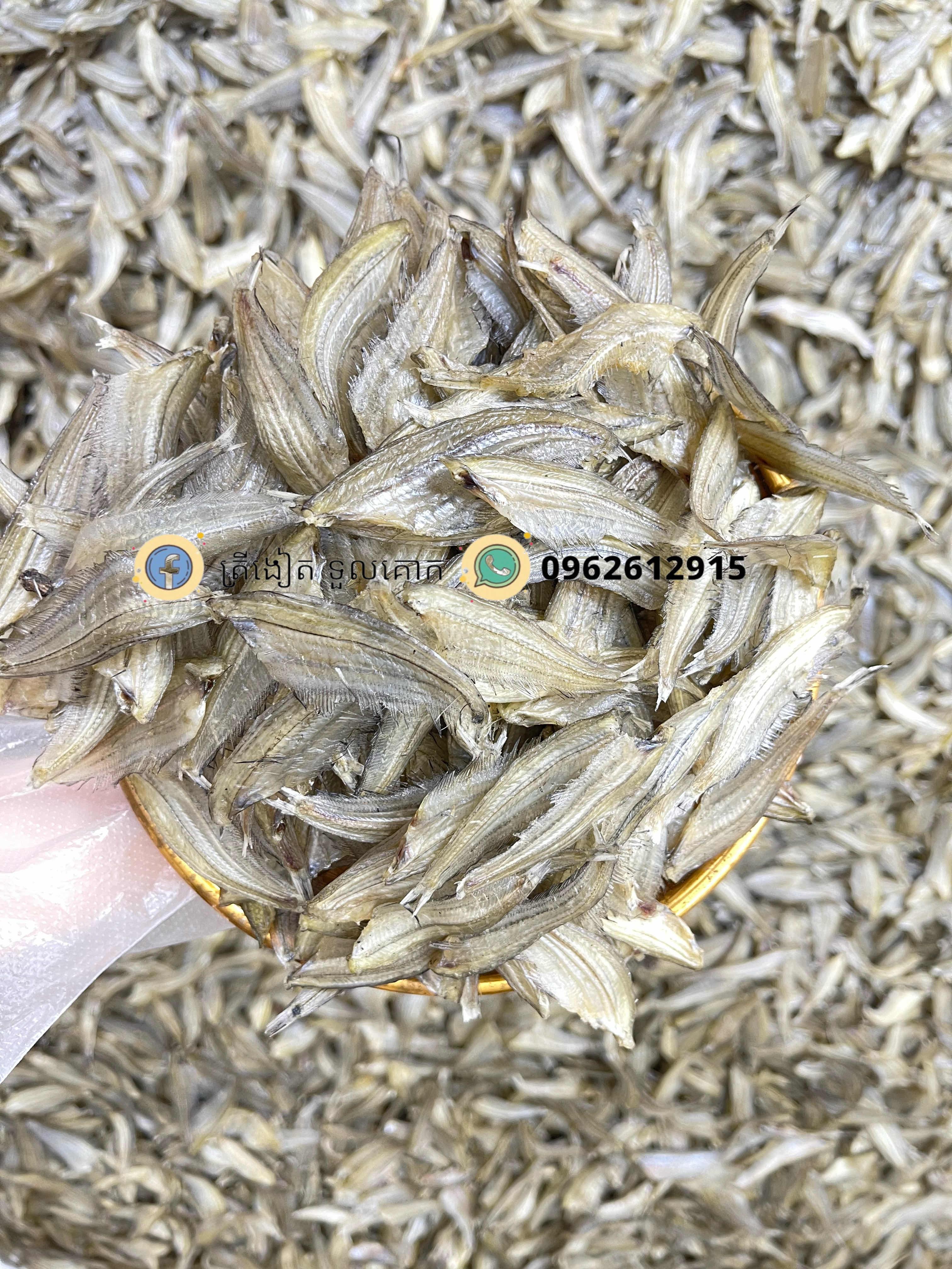 ត្រីកំភ្លាវងៀត 
