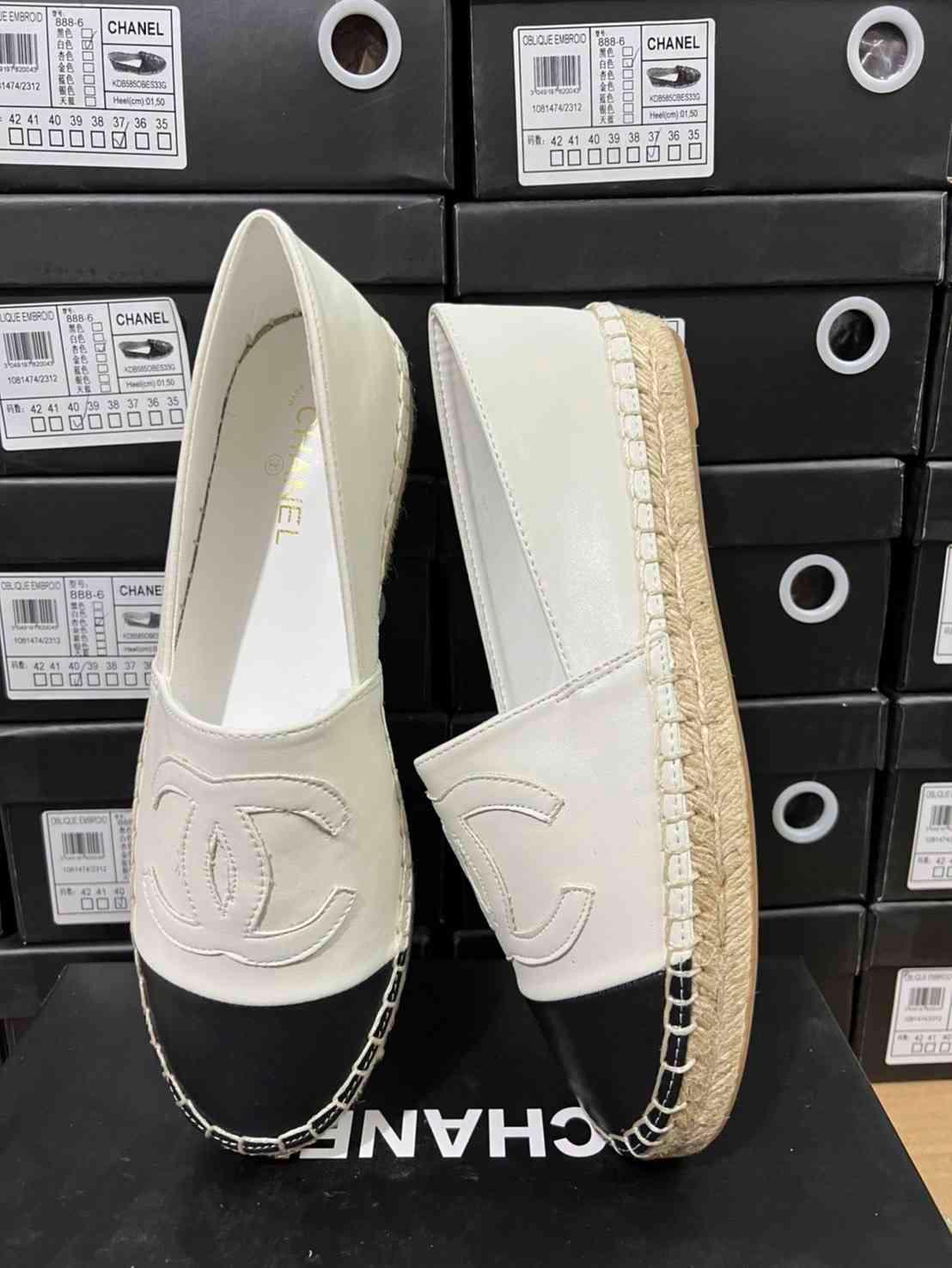 Cucci