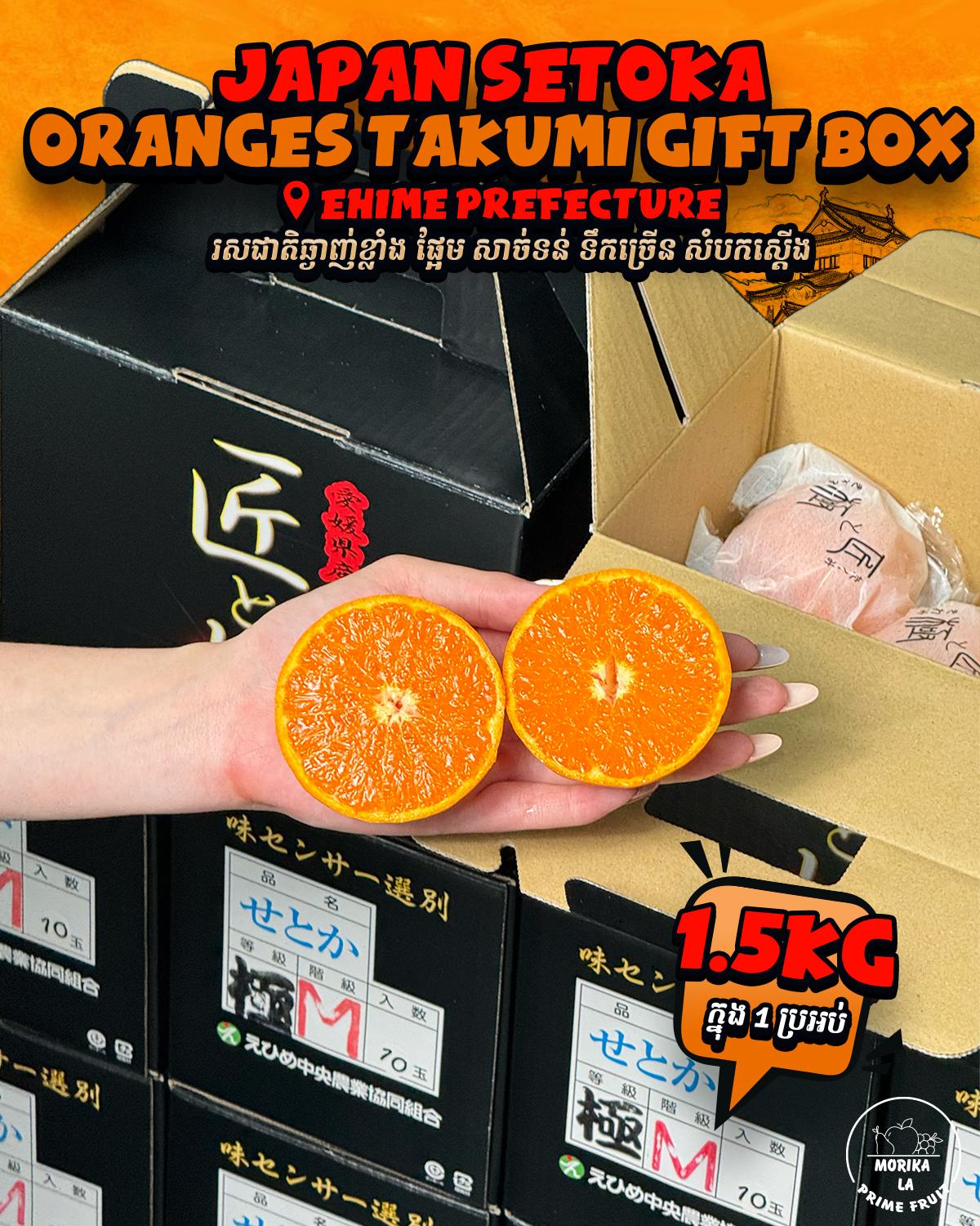 Japan Setoka Oranges Takumi Gift Box 🍊