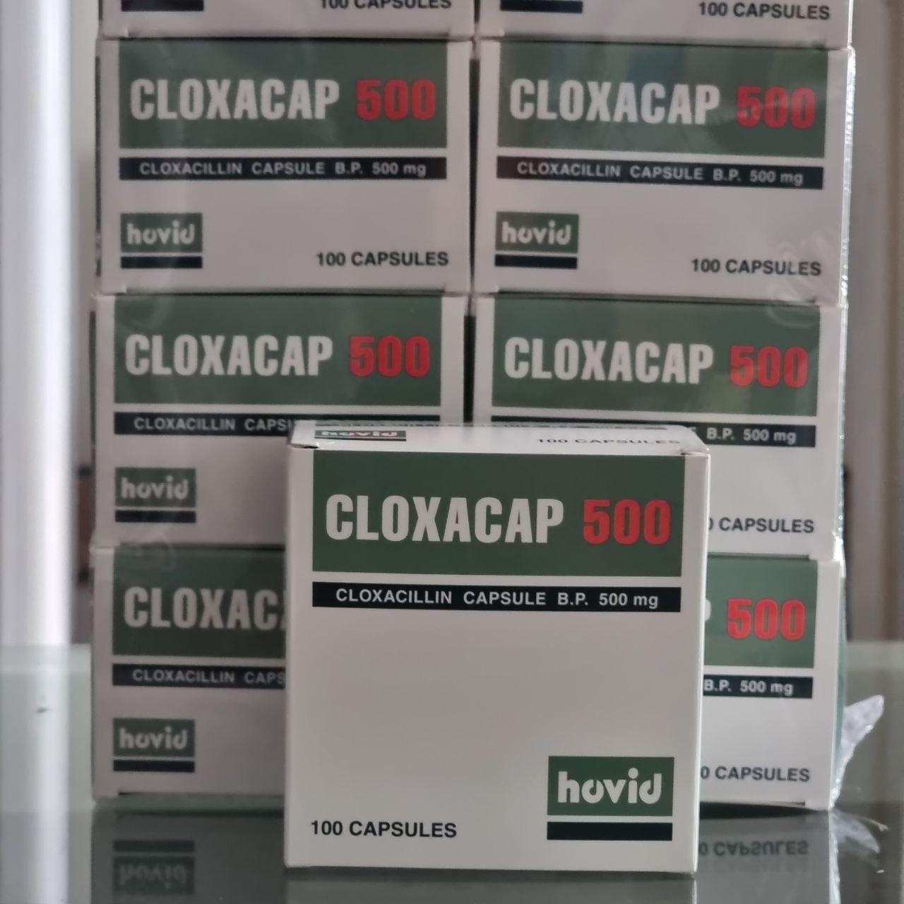 CLOXACAP 500  (Cloxacap)  ប្រអប់