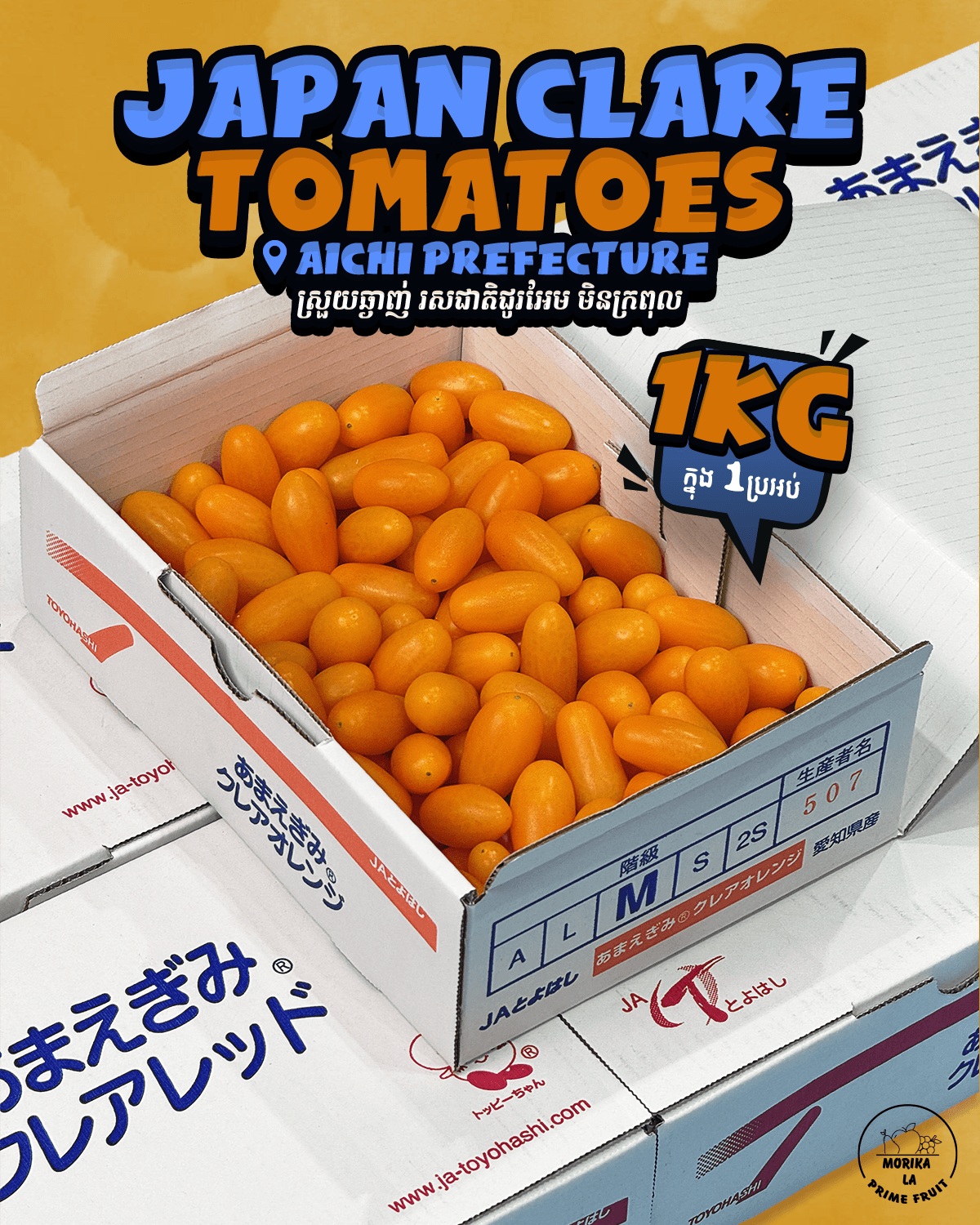 Japan Clare Tomatoes Orange