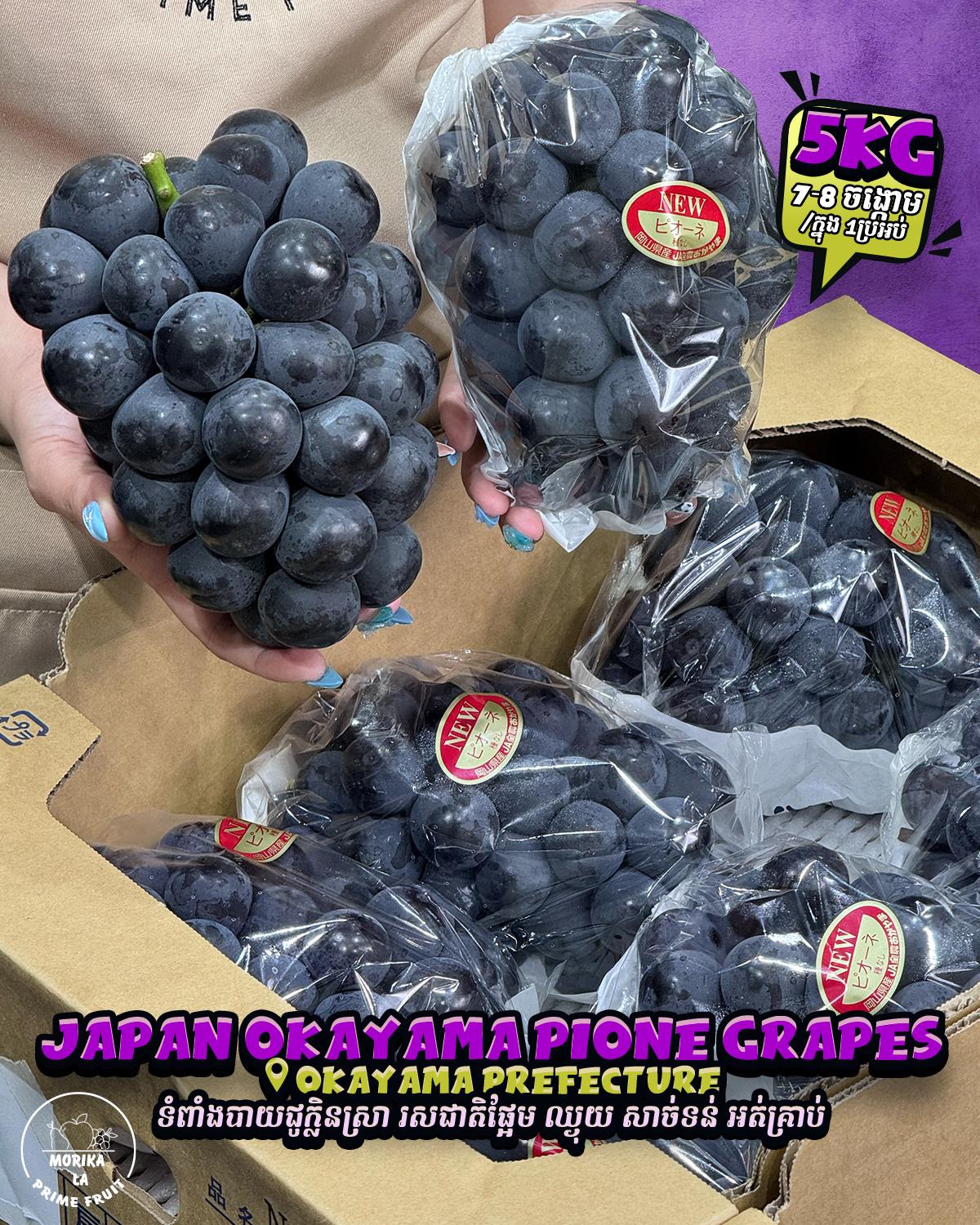 Japan Pione Okayama 🍇