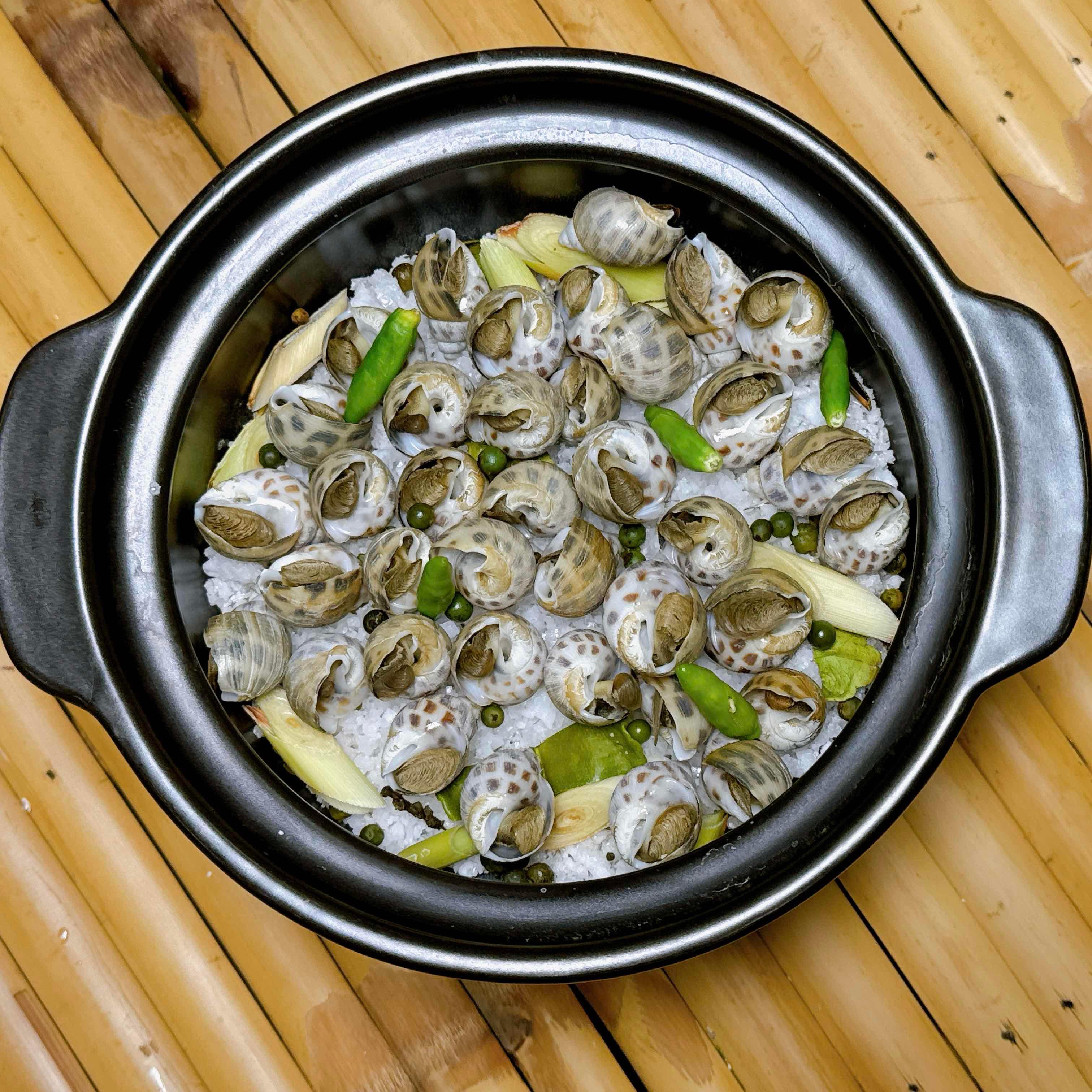 ខ្យងប៉ារ៉ាដុតអំបិល