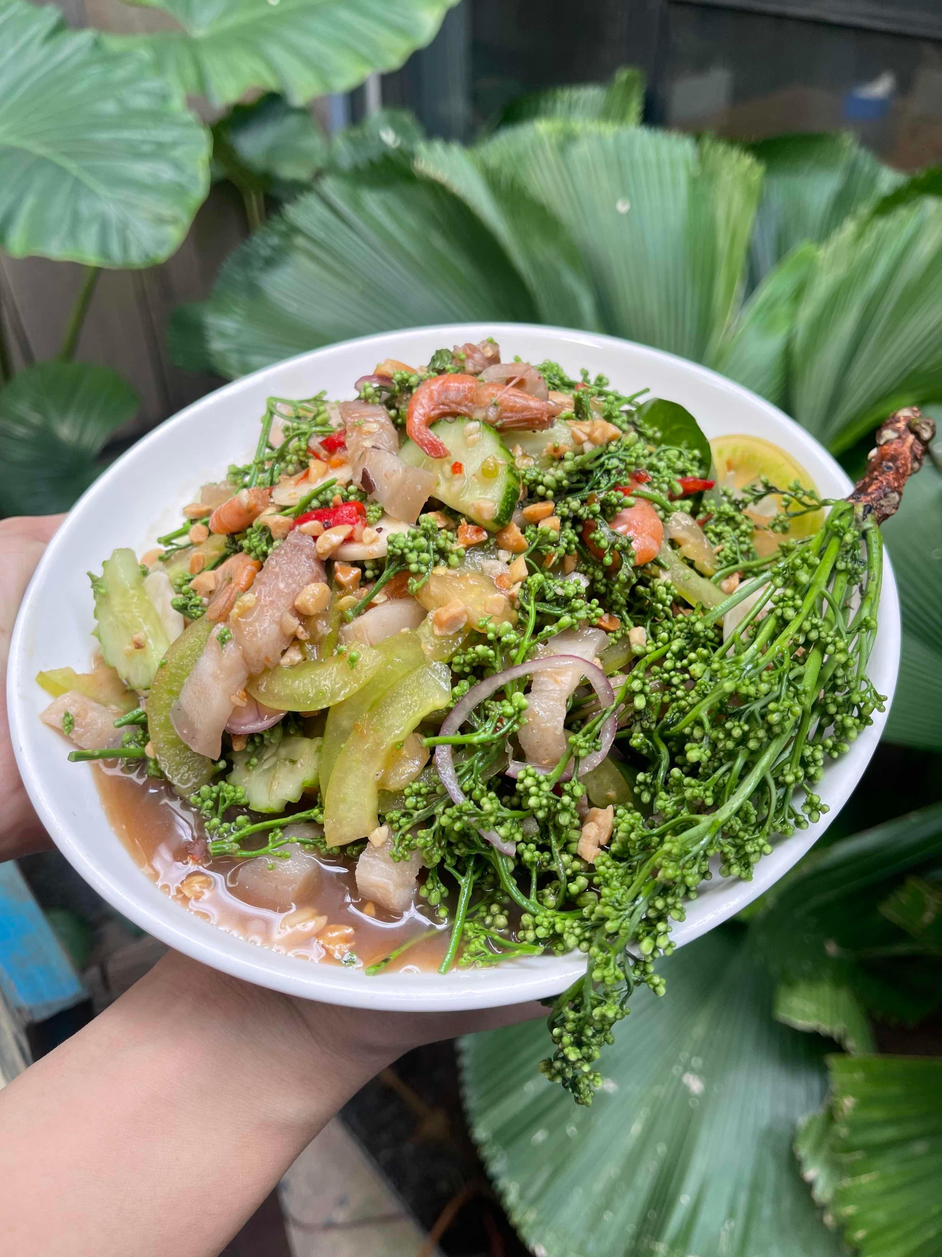 ញាំស្តៅ