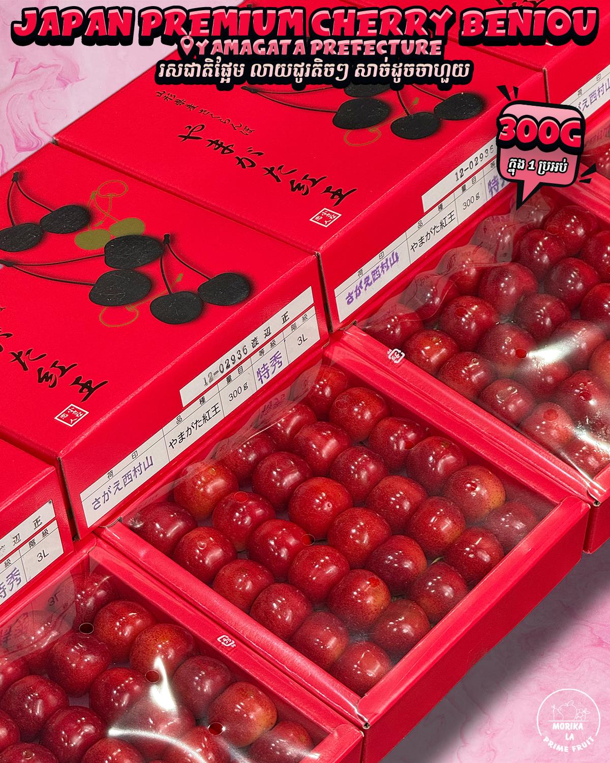 Japan Cherry Beni Red Gift Box 🍒