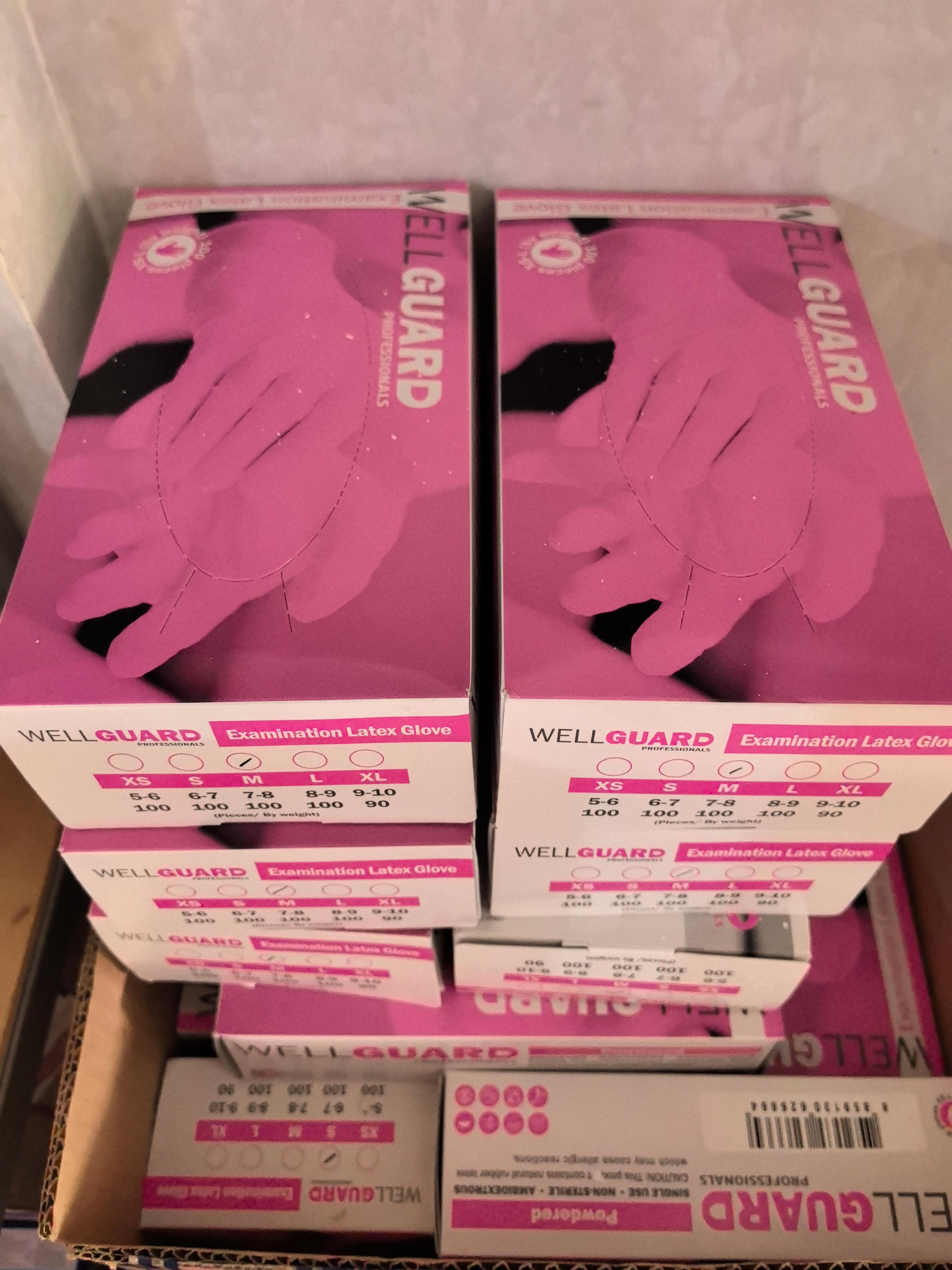 Wellguard S  Latex Glove 100pcs 