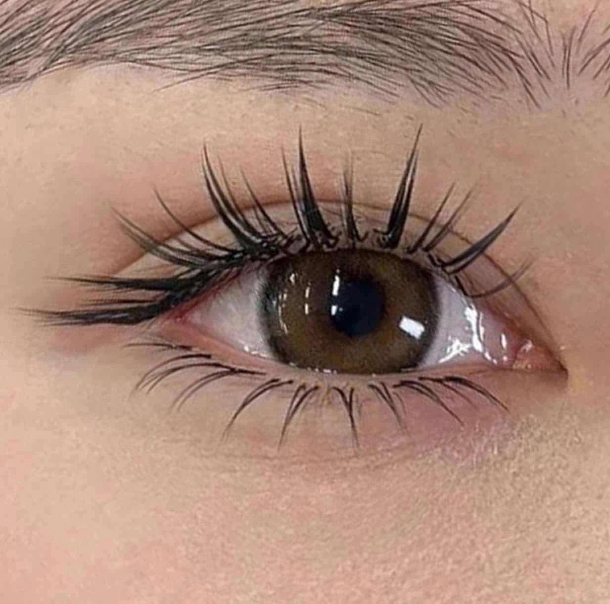 សេវាកម្ម តរោមភ្នែក