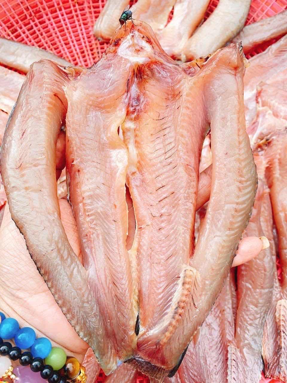 ងៀតត្រីរ៉ស់