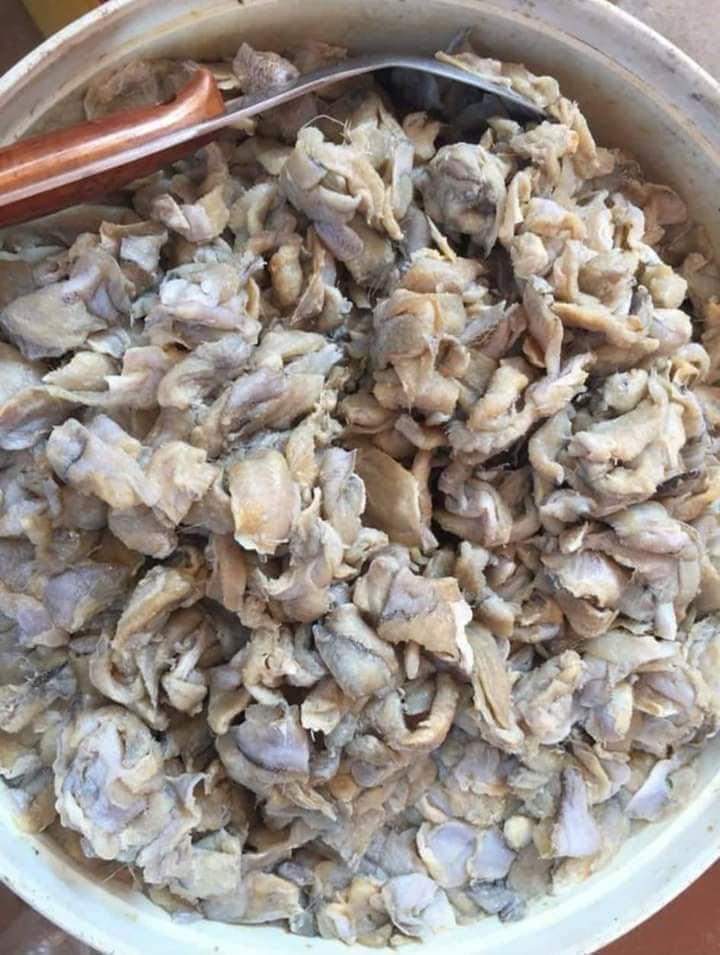 ប្រហុកសាច់ ត្រីកំភ្លាញ 